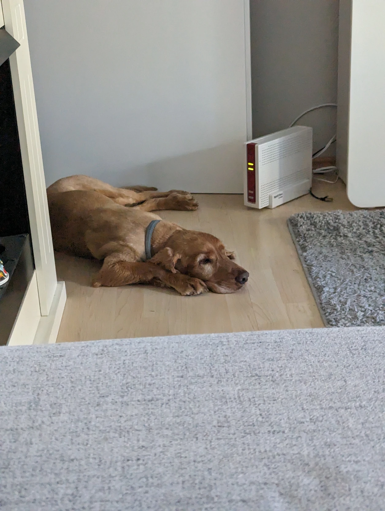 image-9