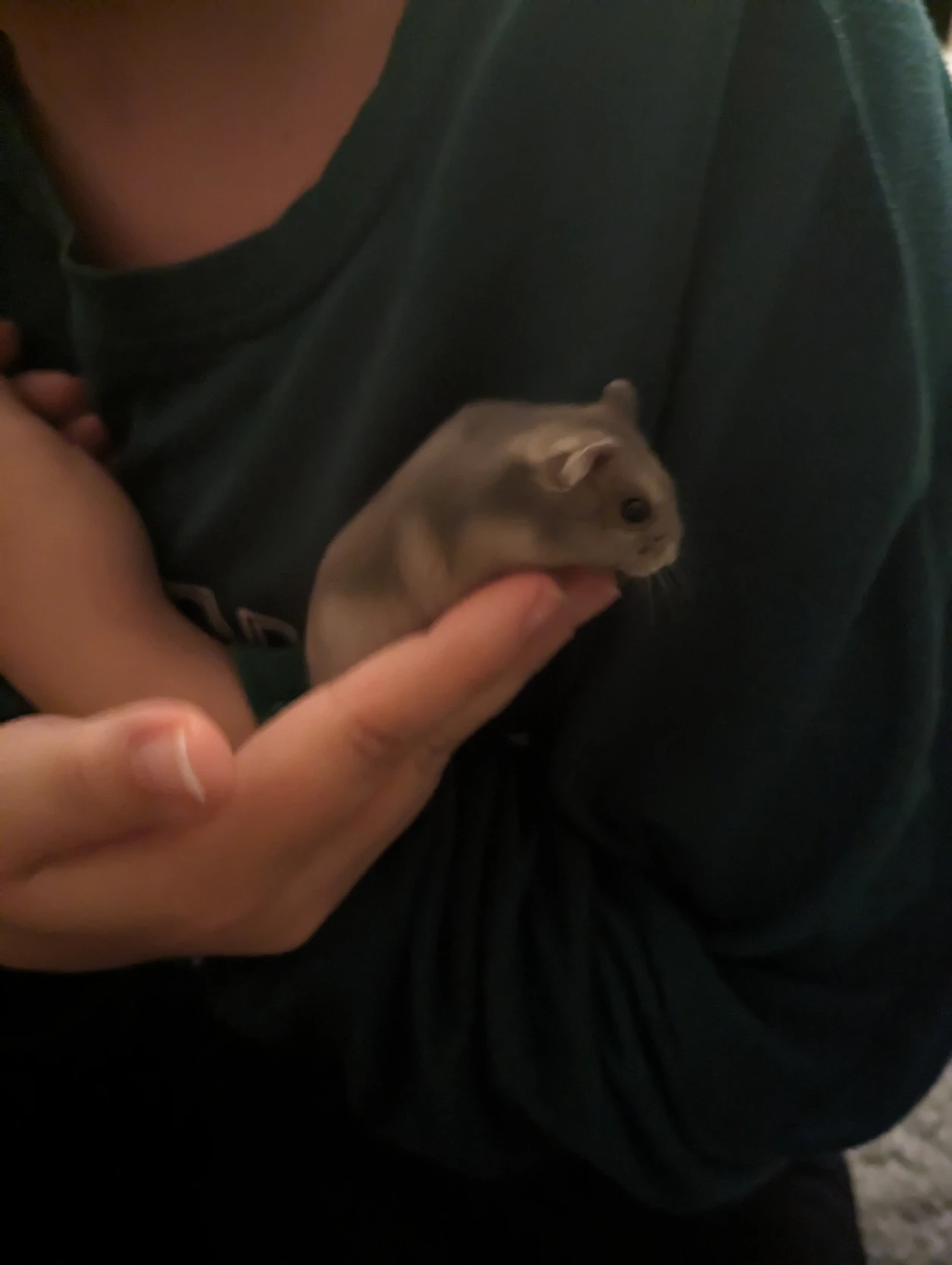 image-7