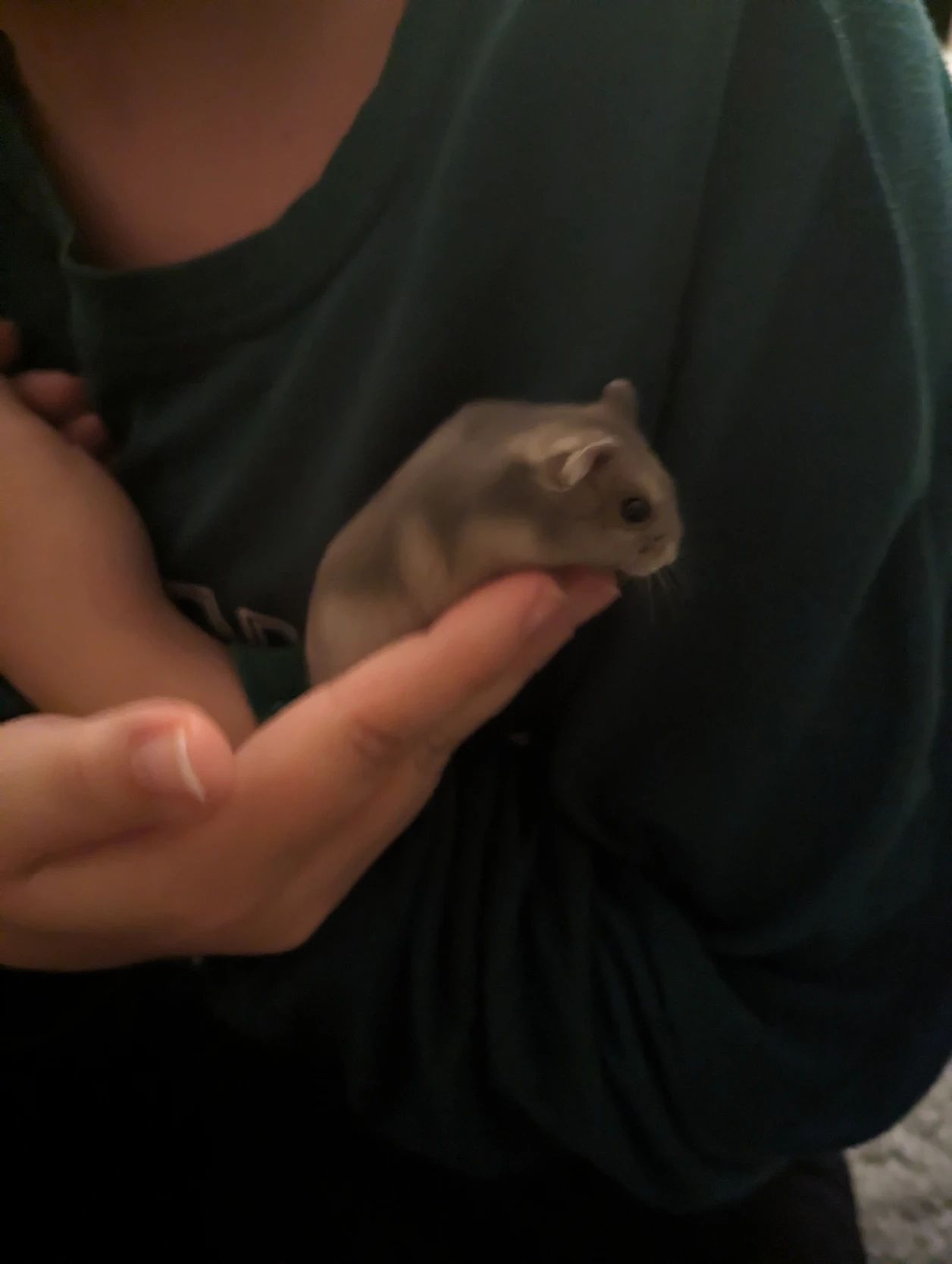 image-7