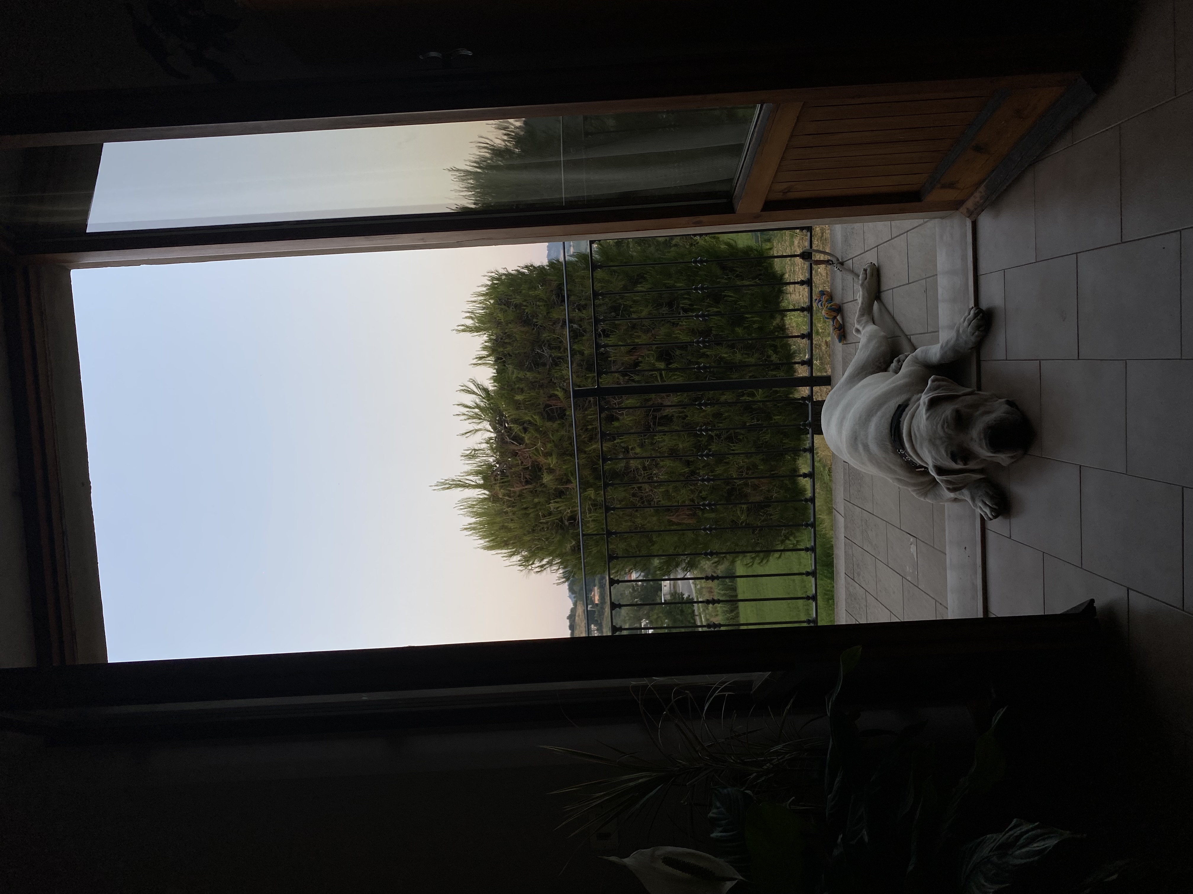 image-2