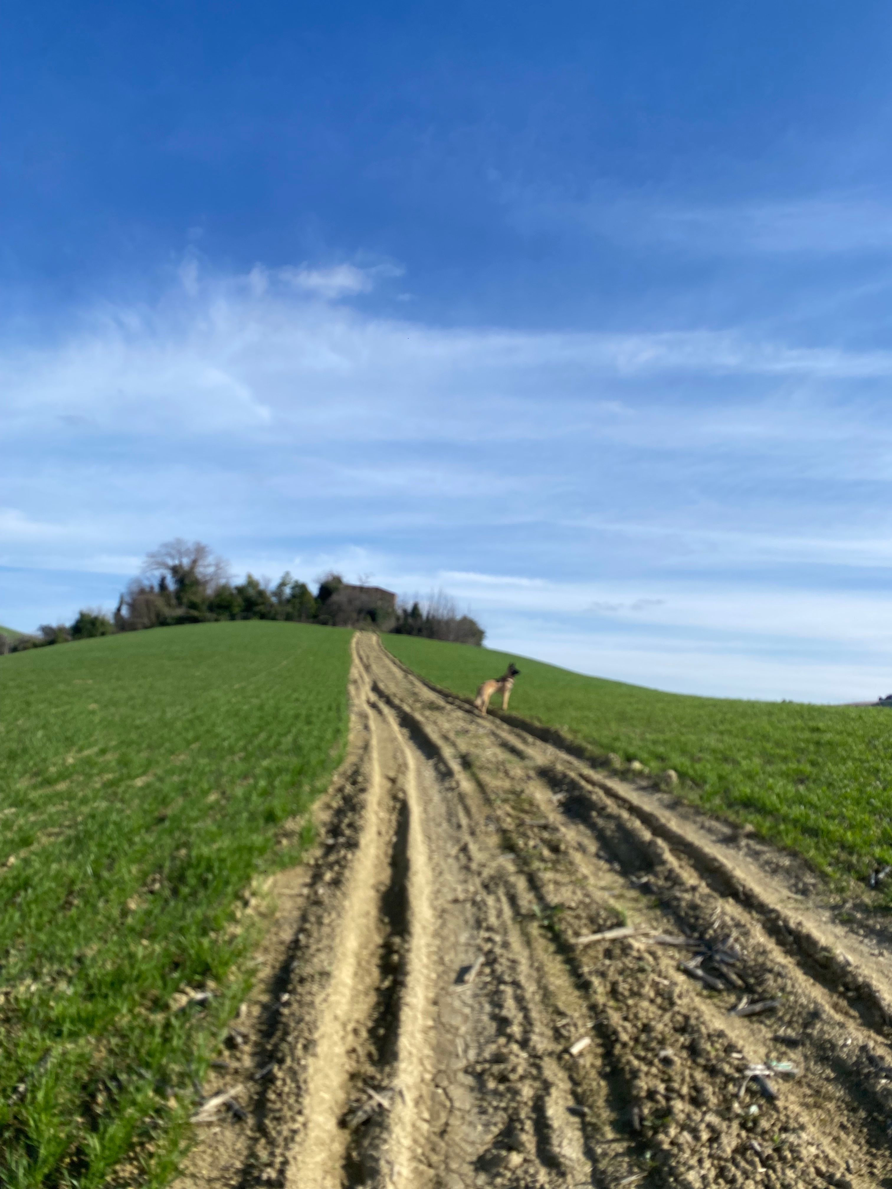 image-7
