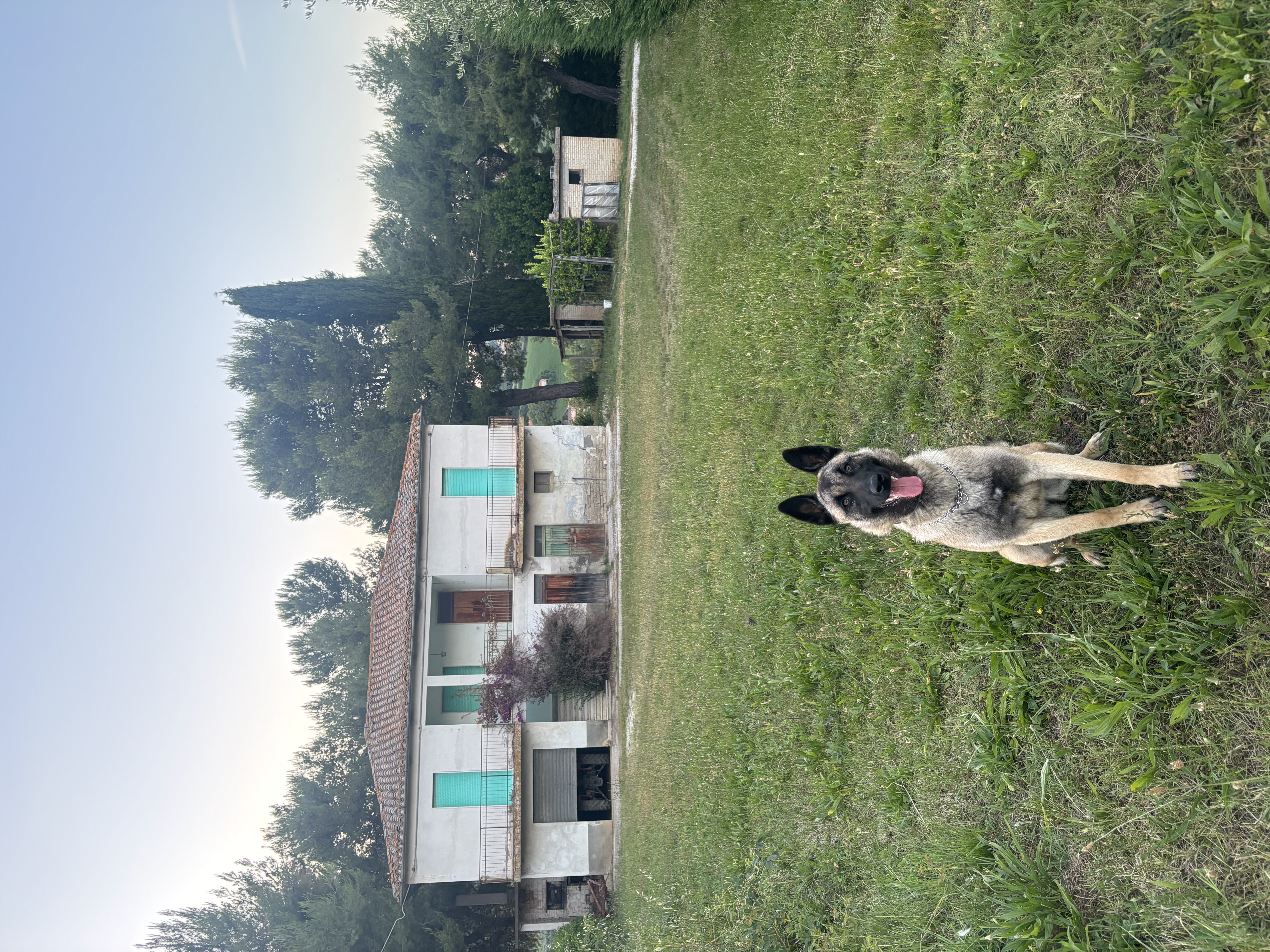 image-5