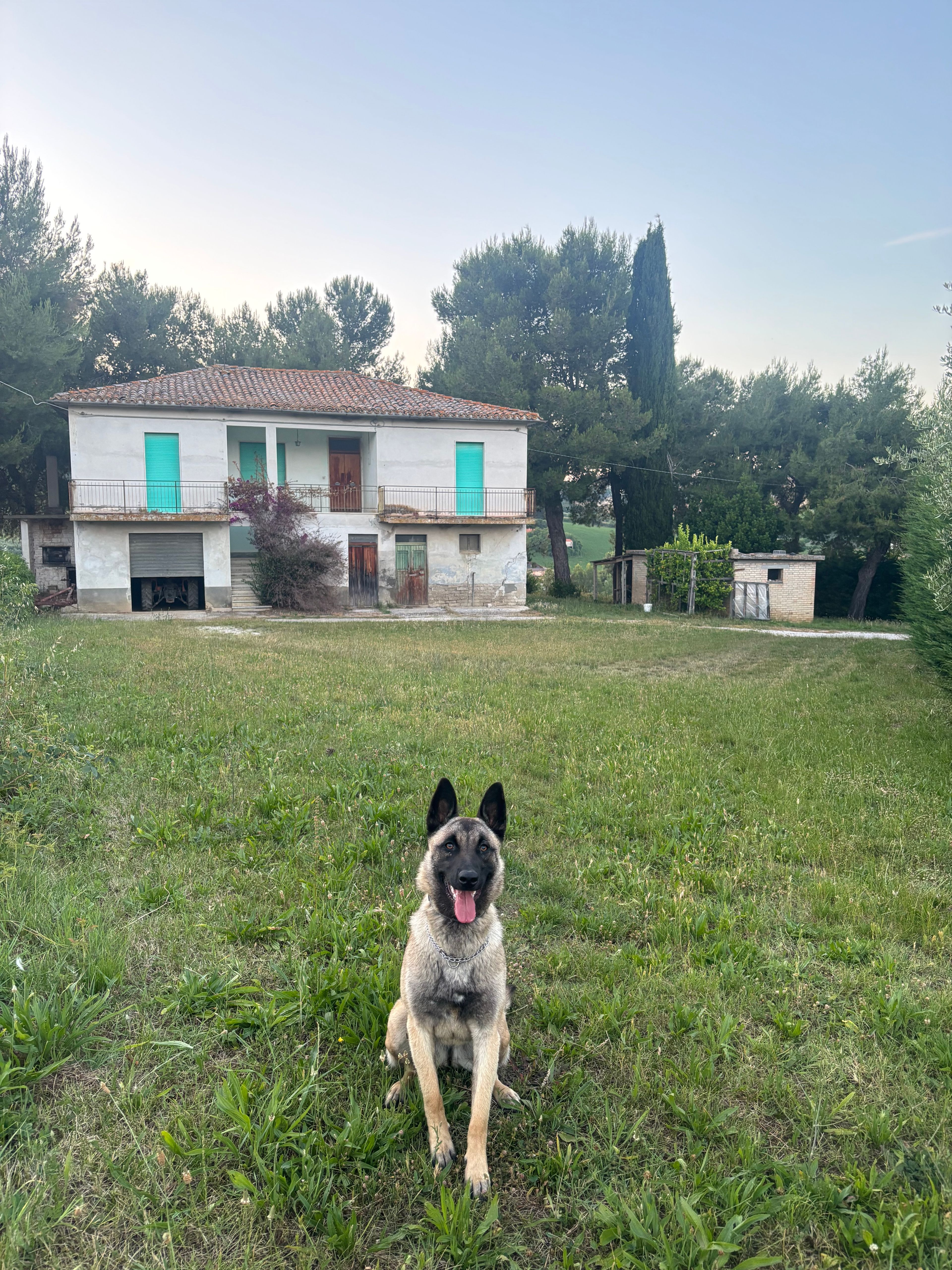 image-5