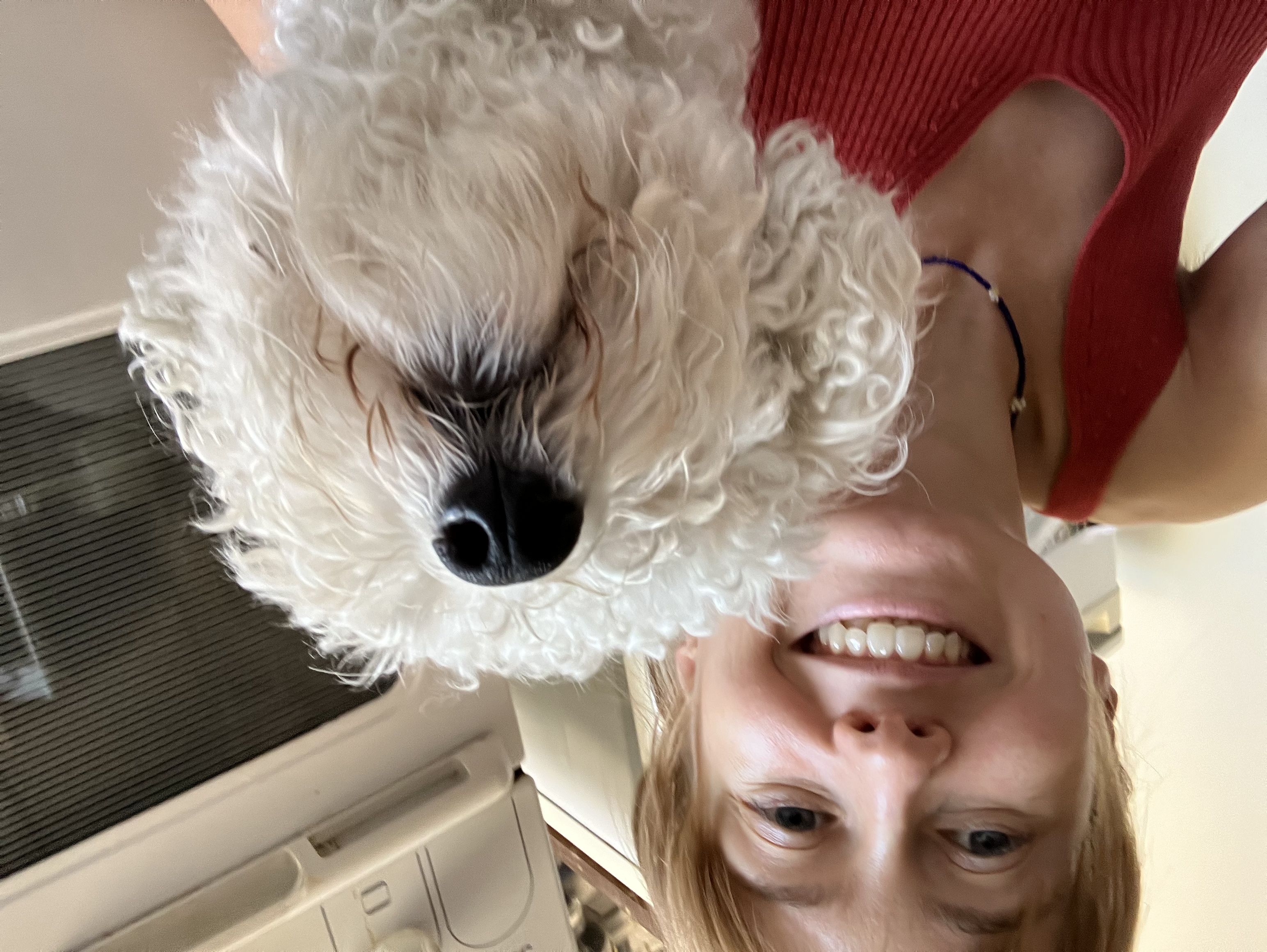 image-6