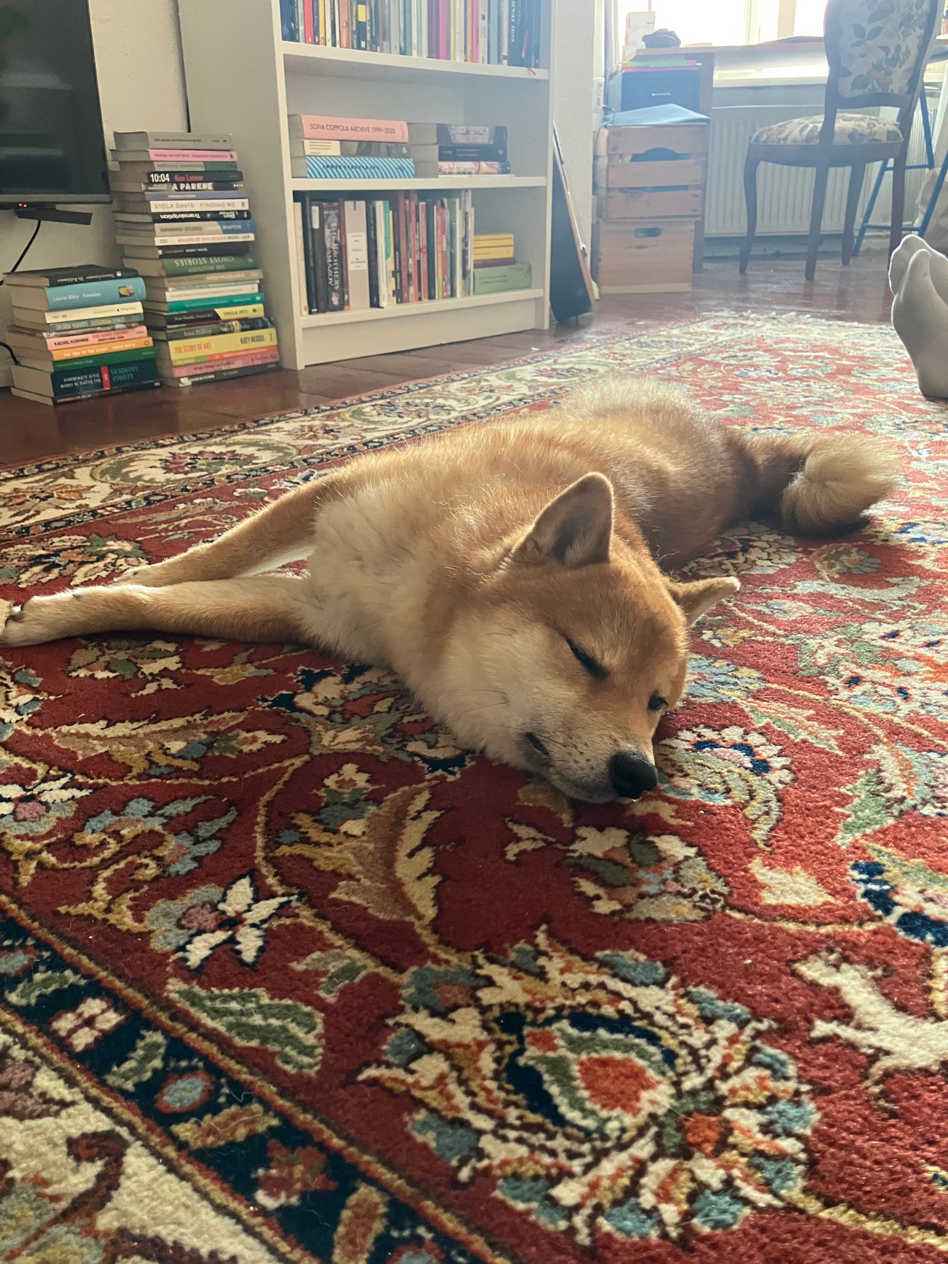 image-12