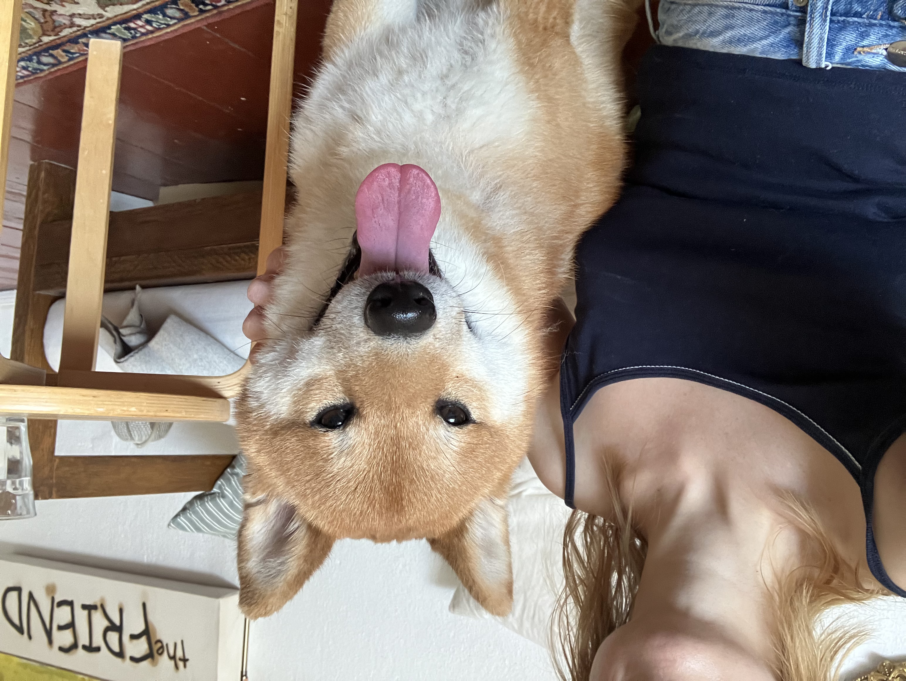 image-11