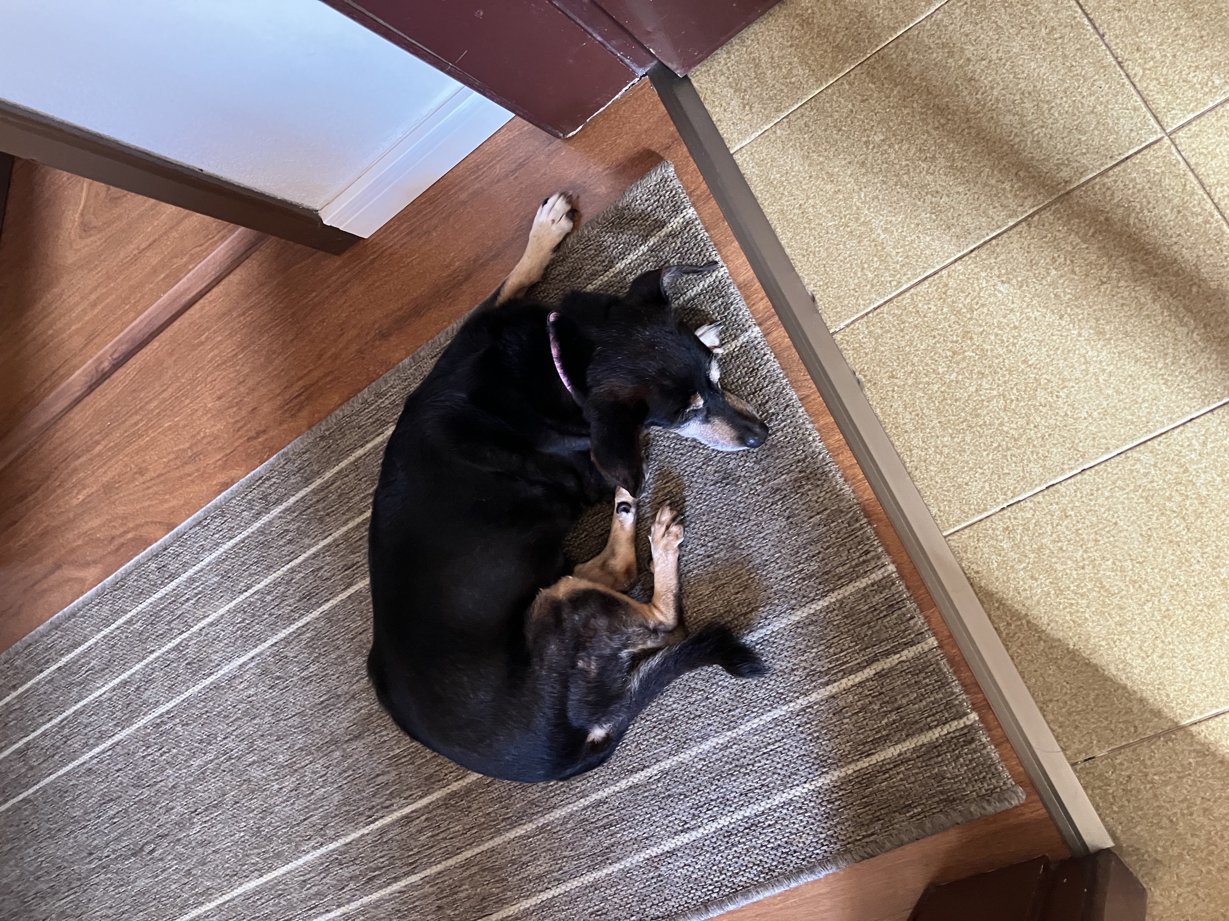image-7