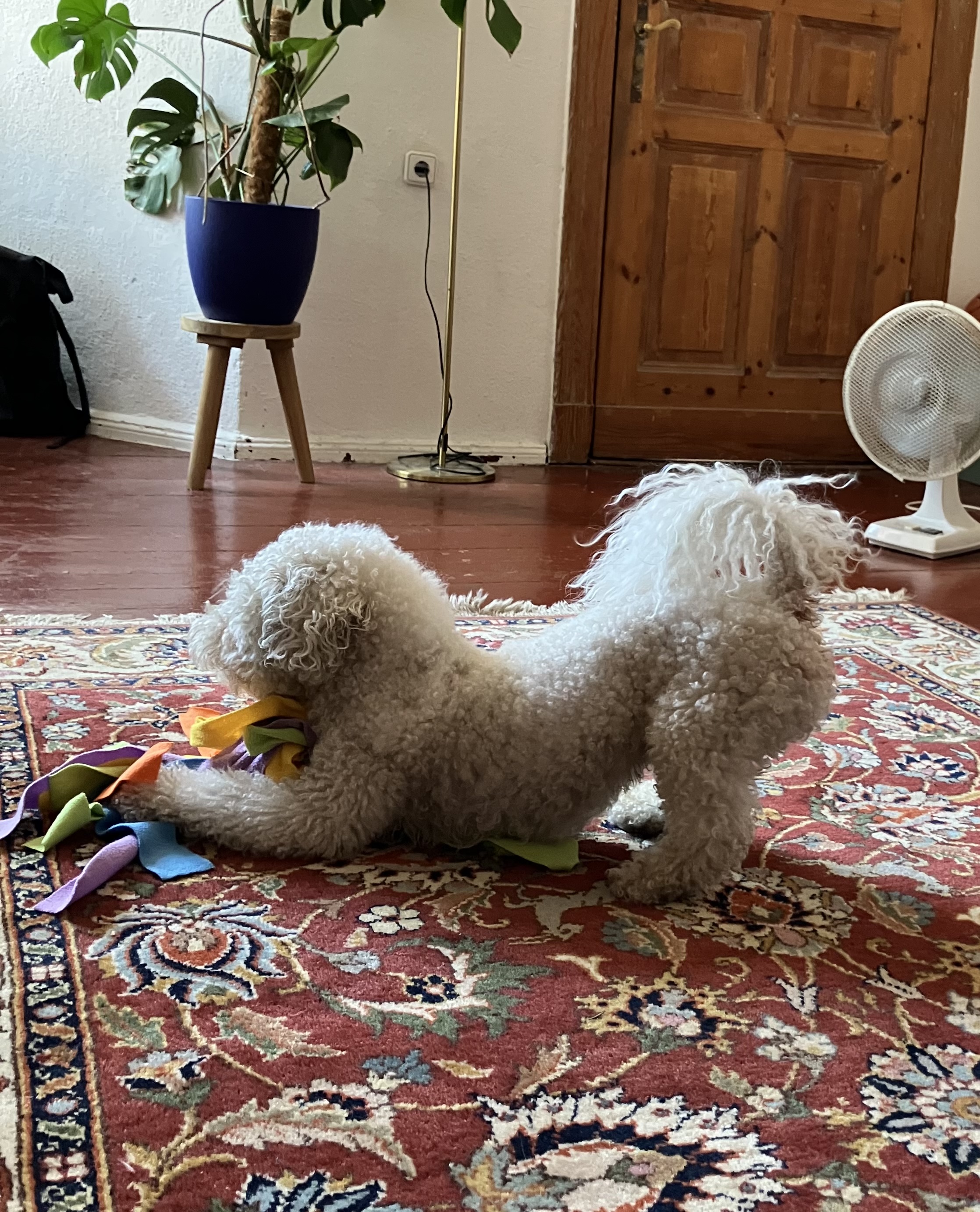 image-14