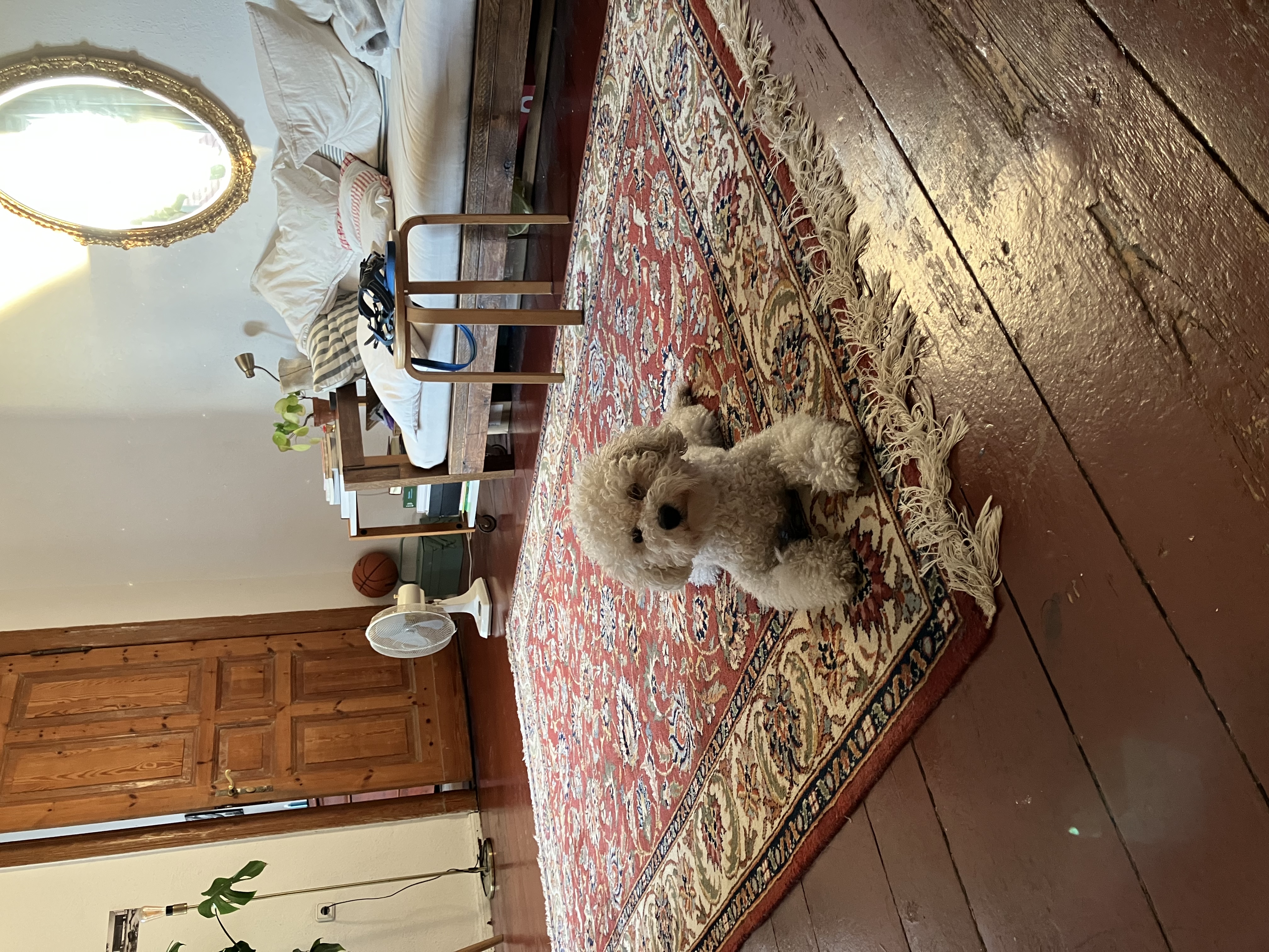 image-8
