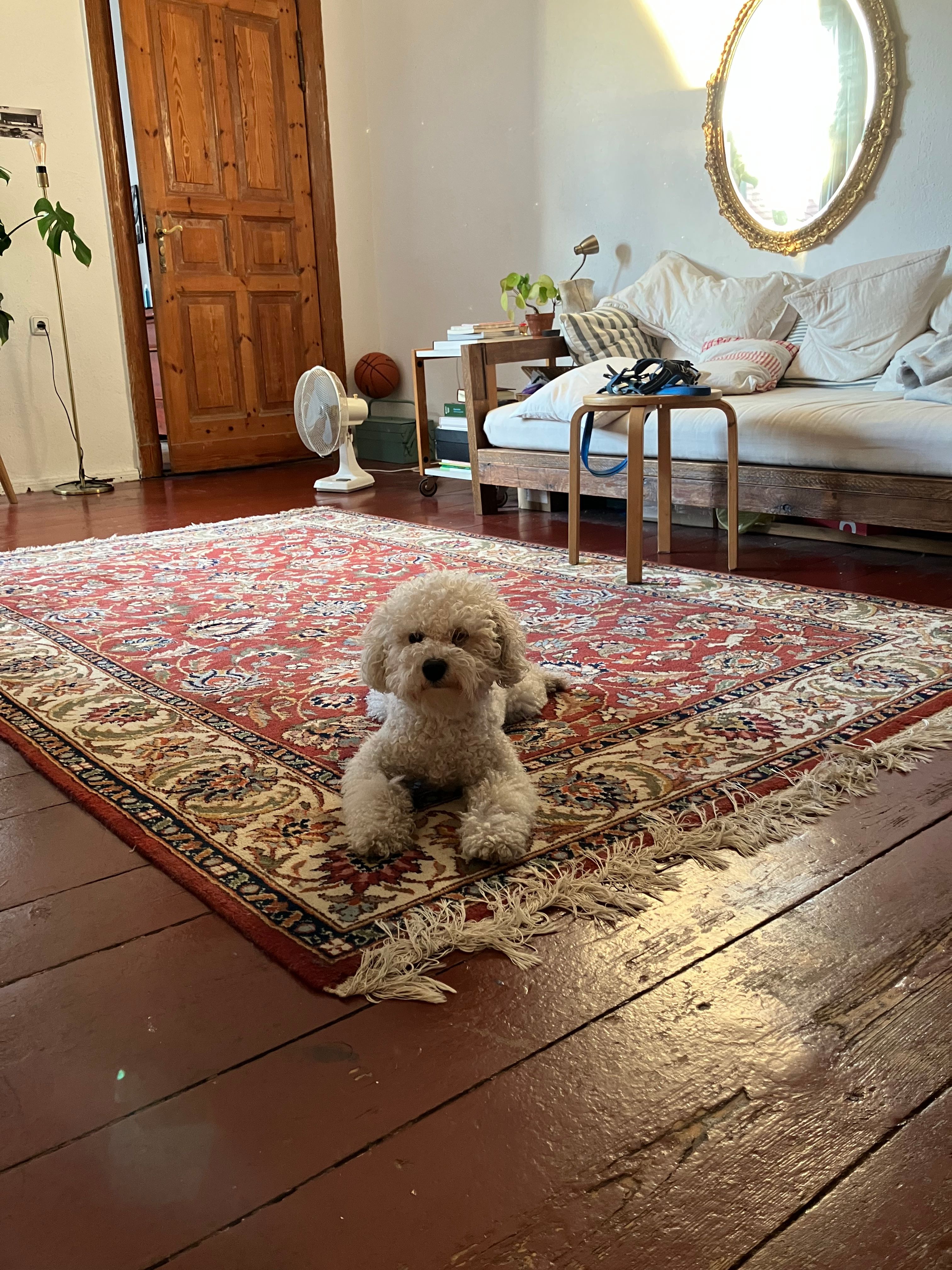 image-8