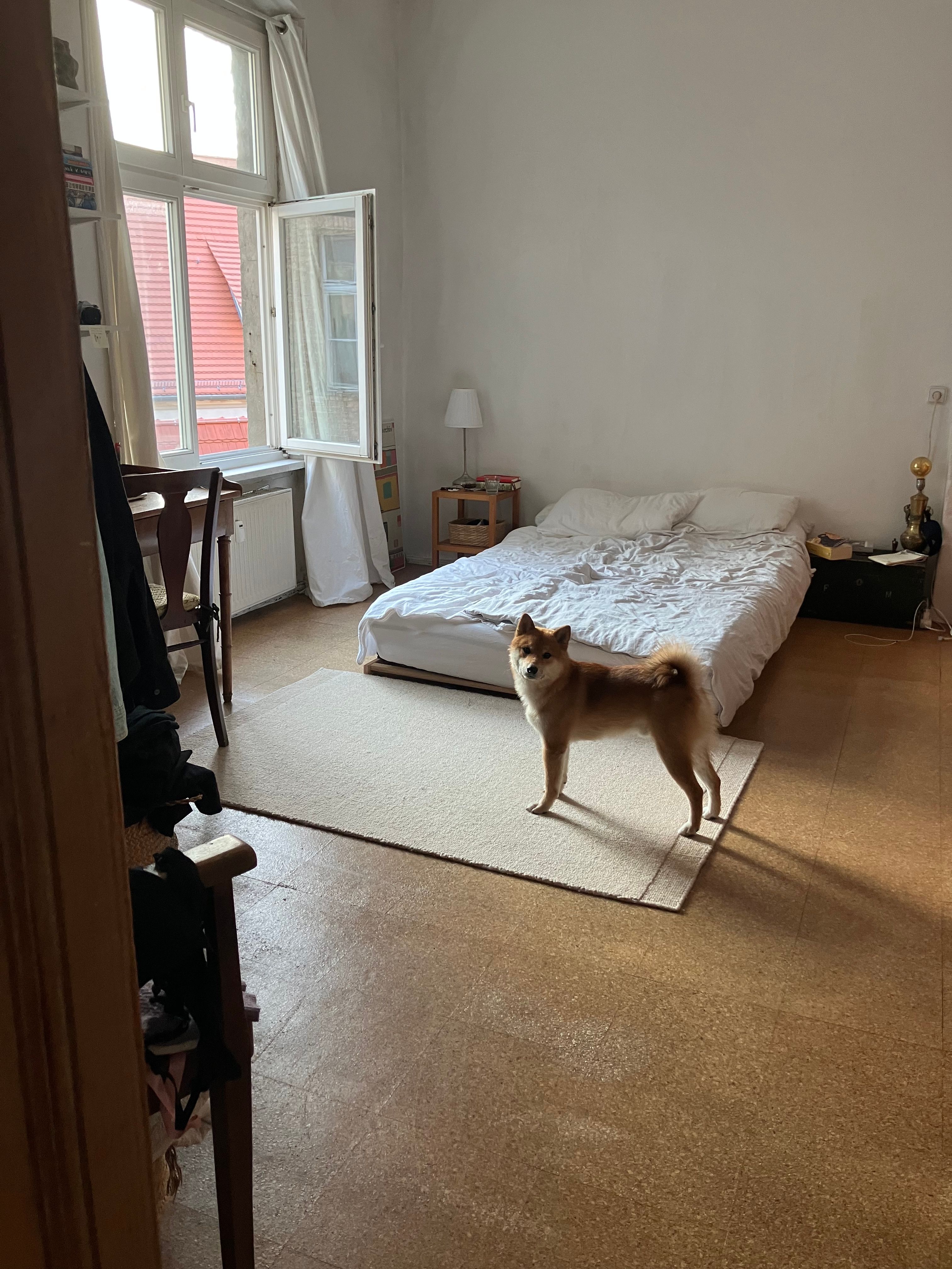 image-17