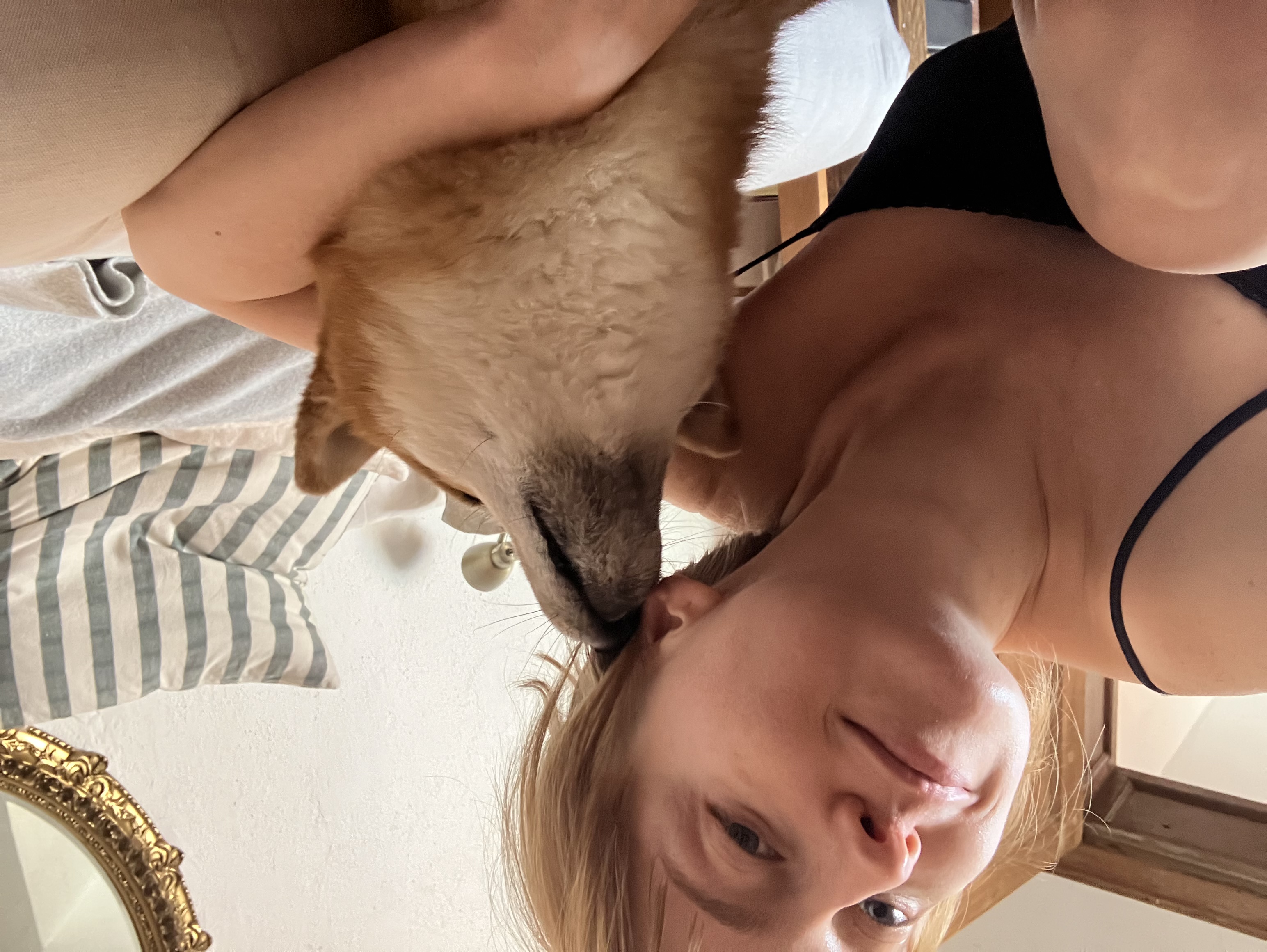 image-10