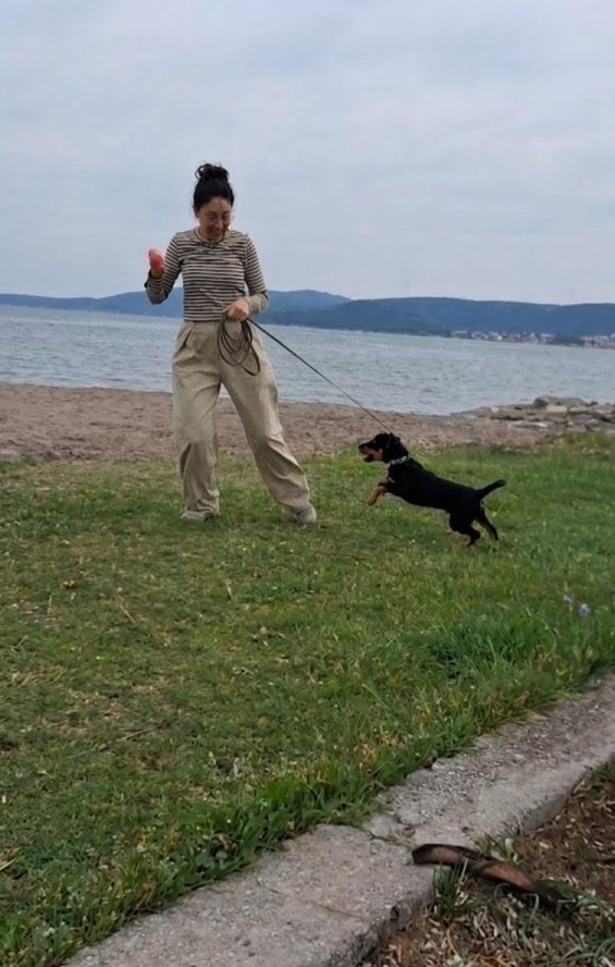 image-12