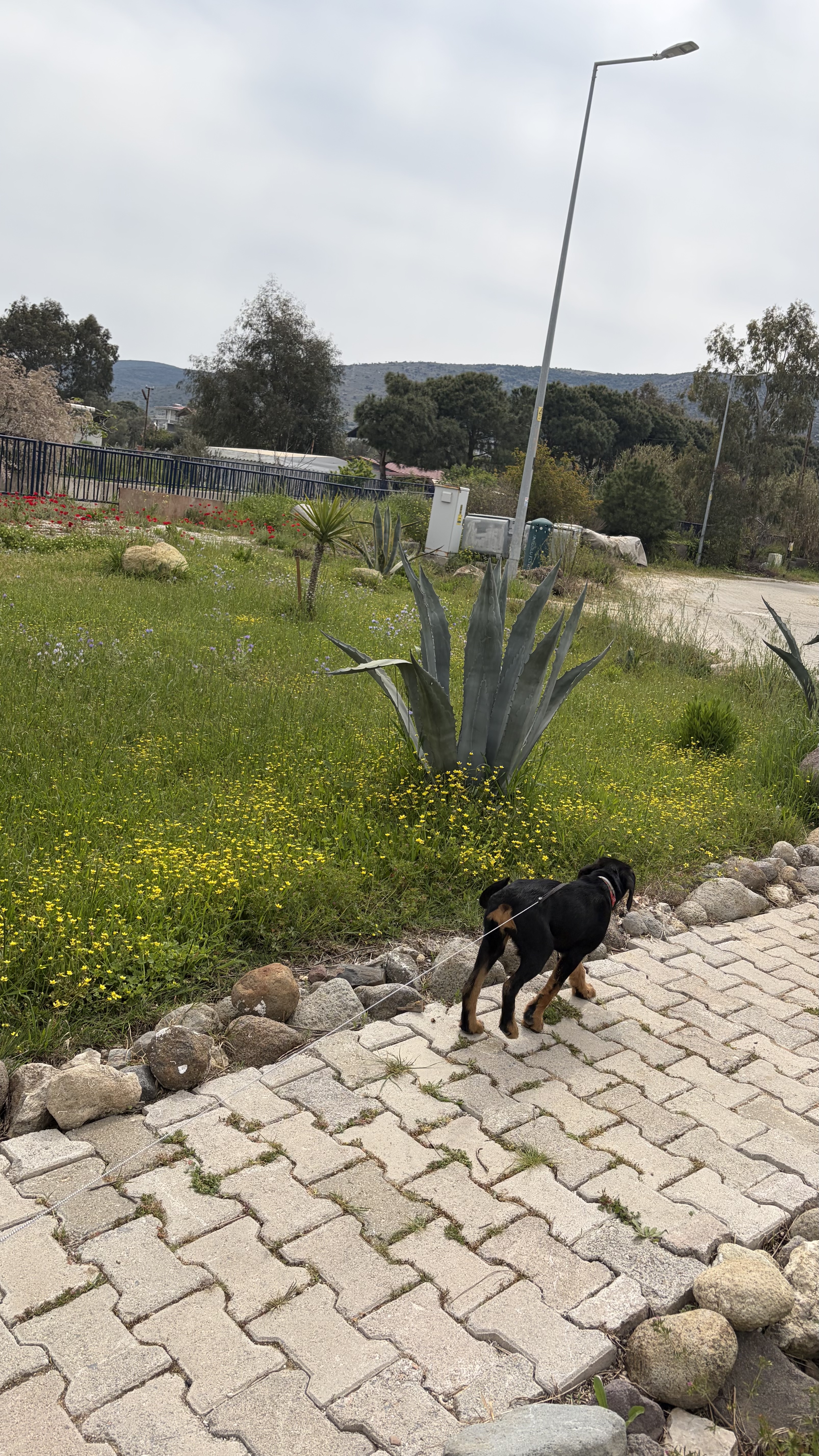 image-6