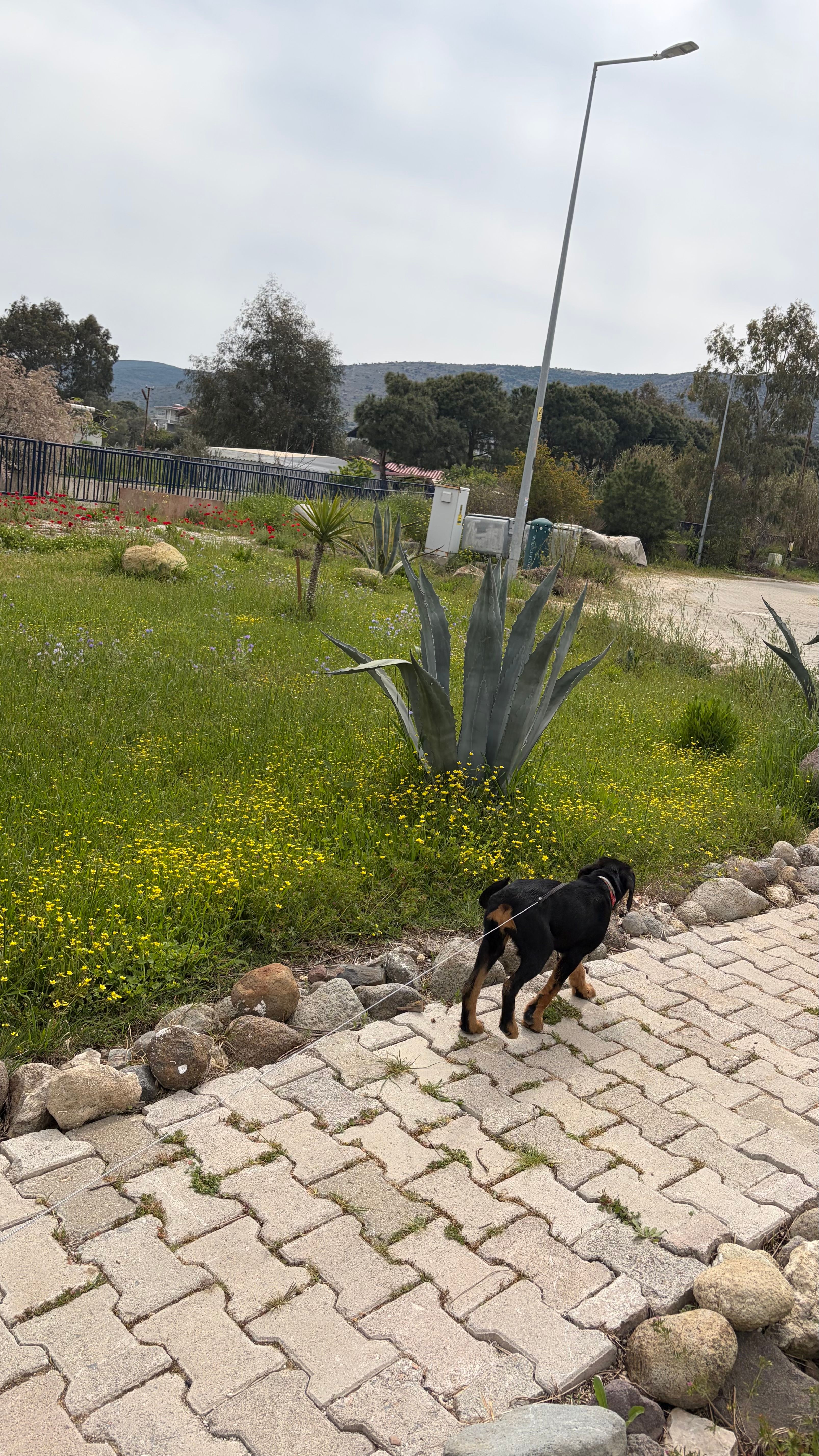 image-6