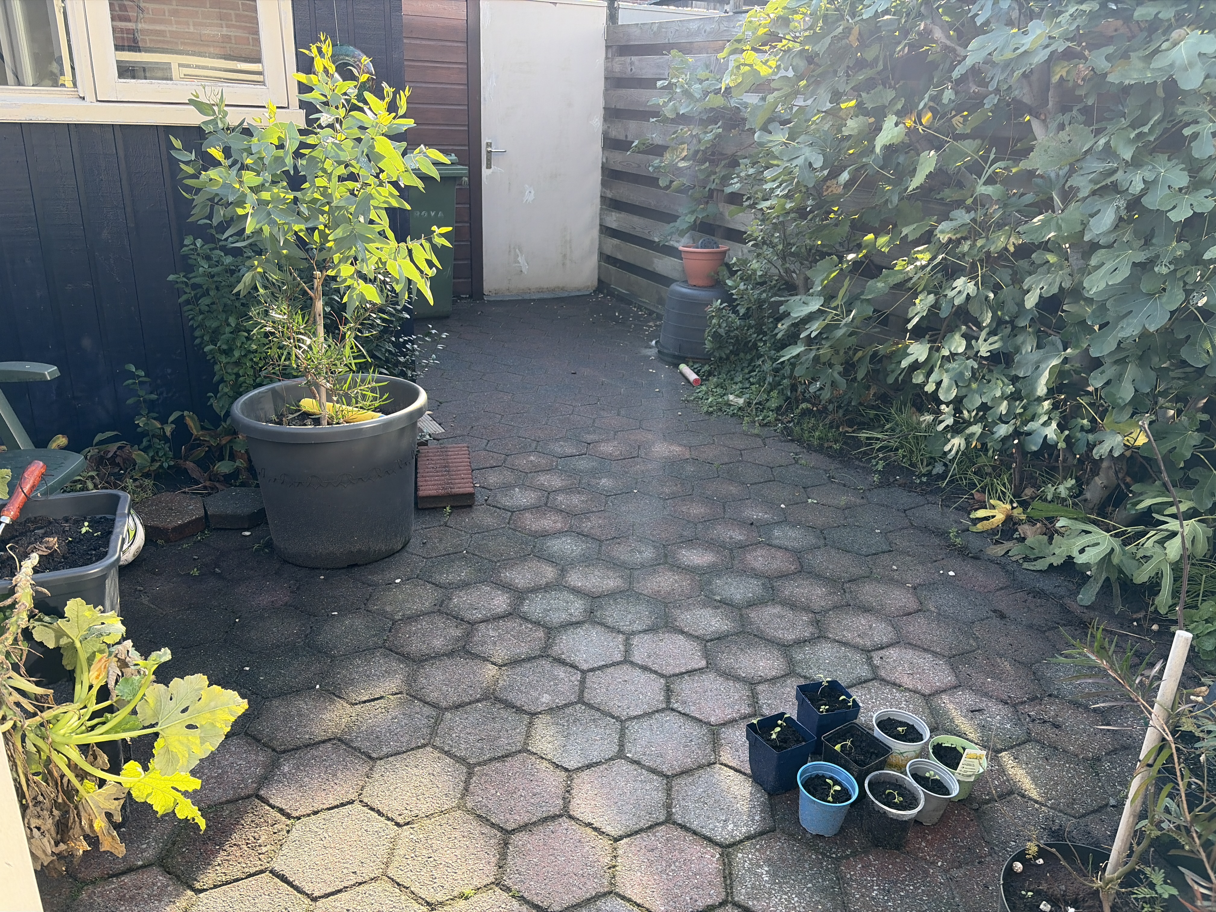 image-7