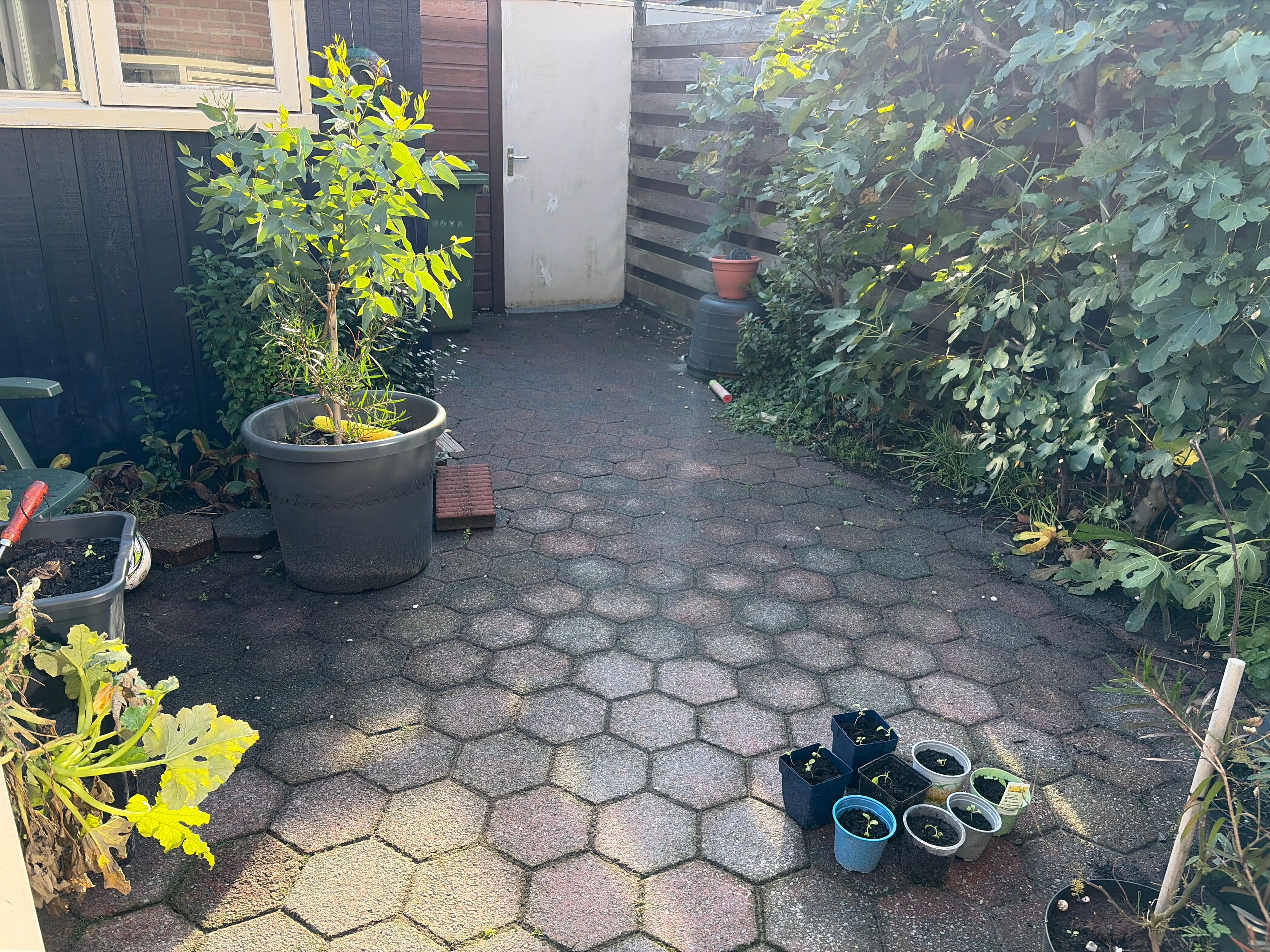 image-7