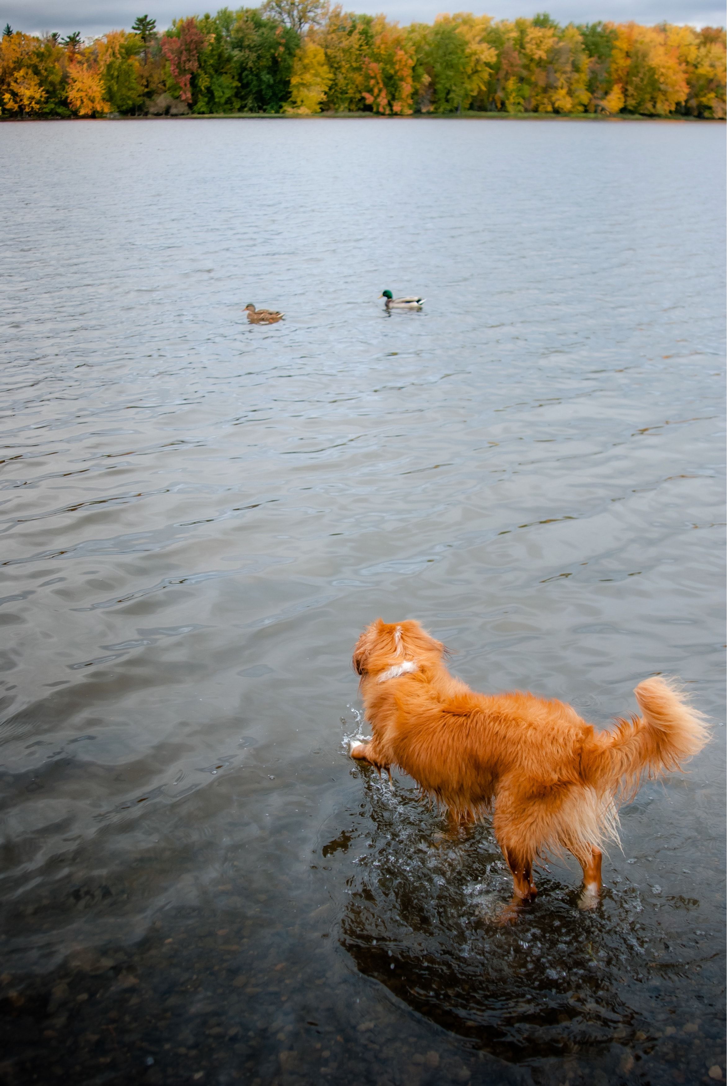 image-9