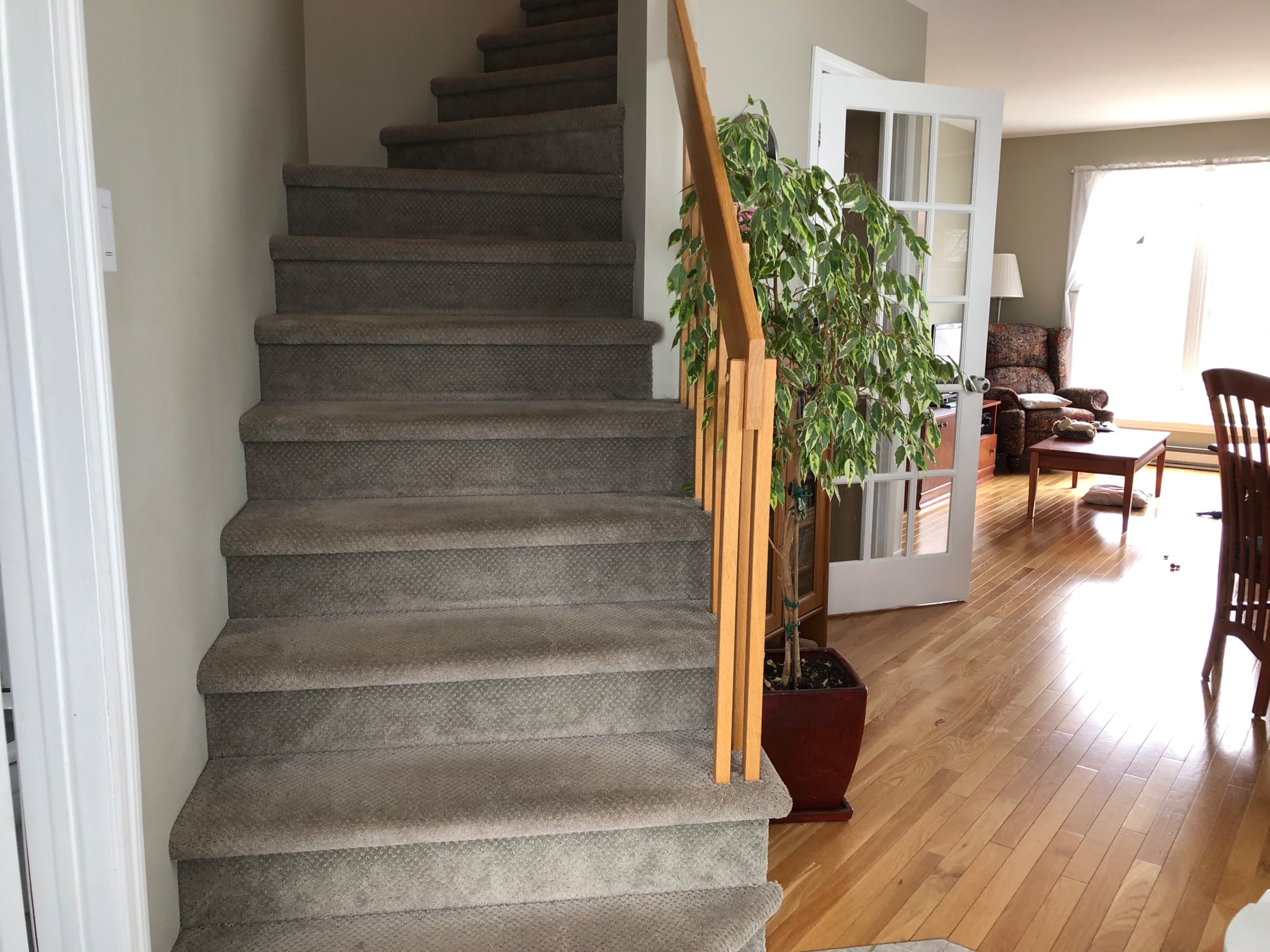 image-19