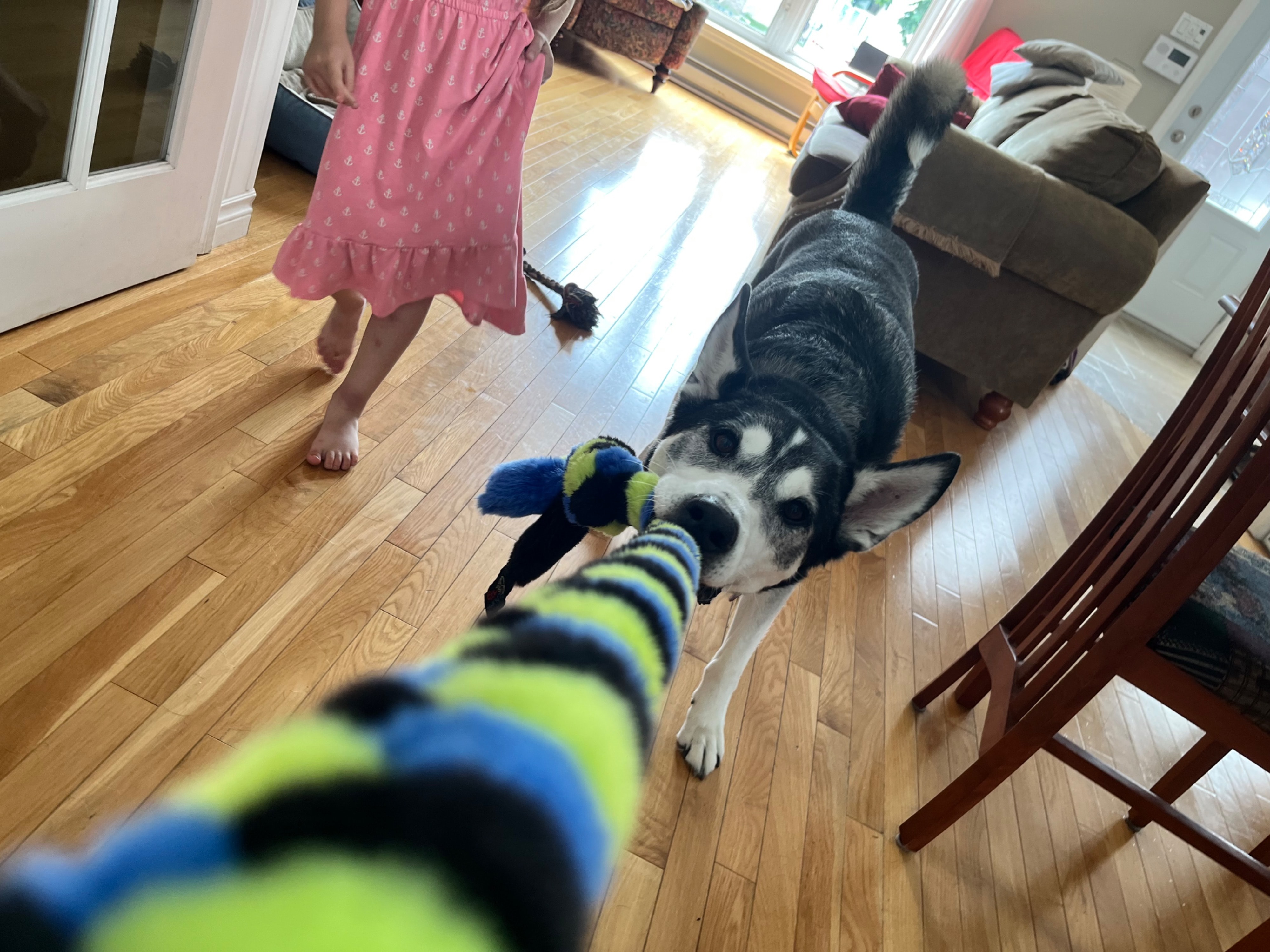 image-20