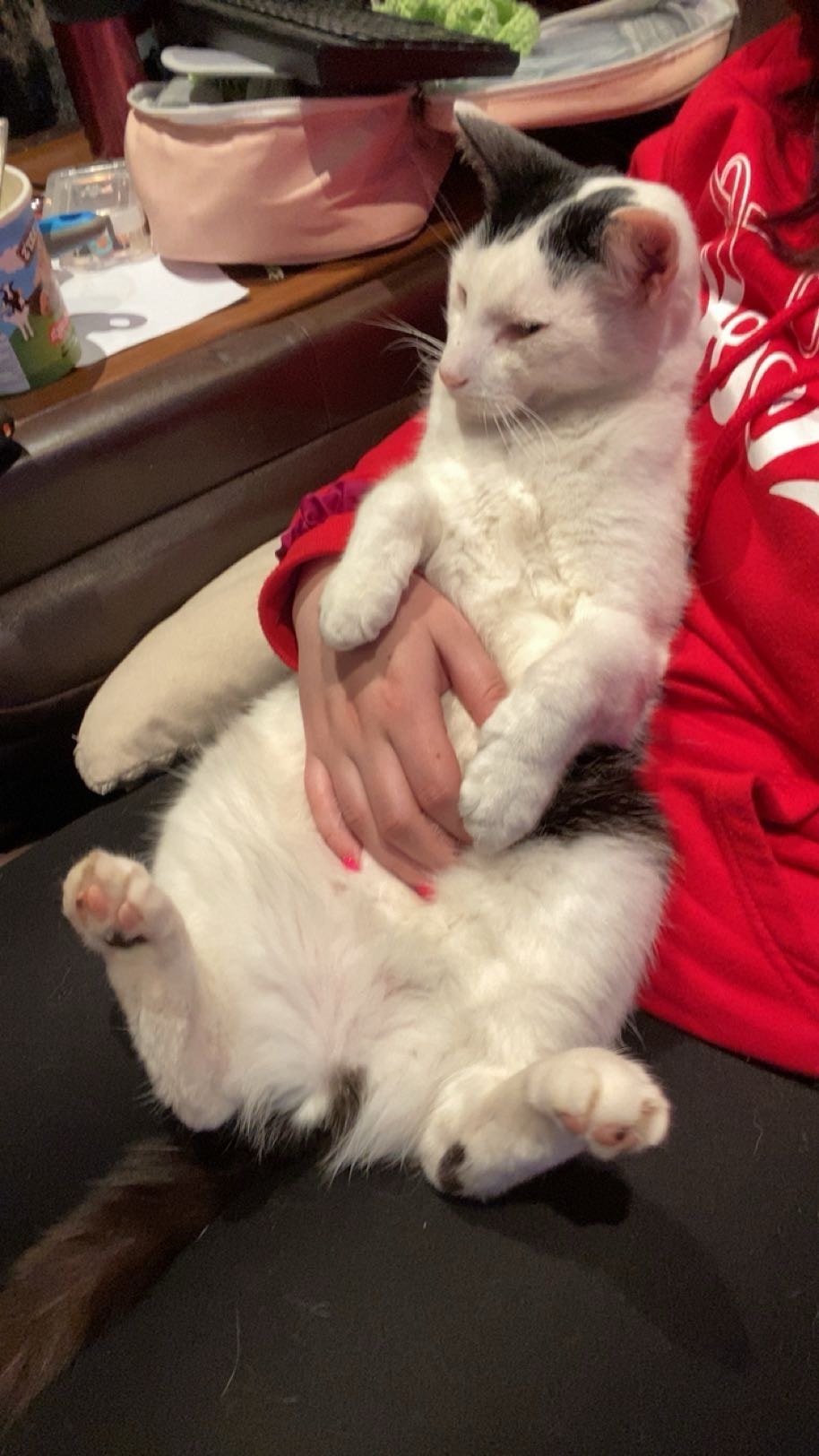image-12