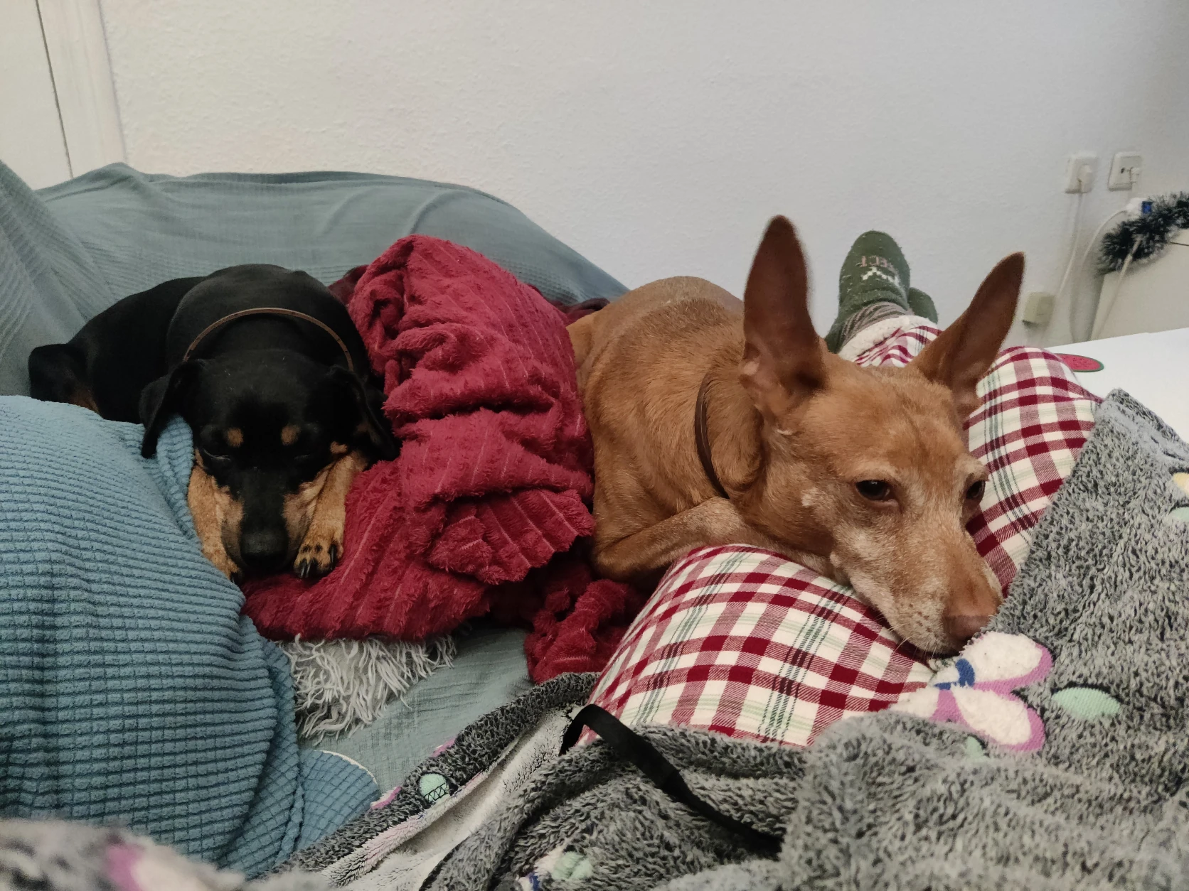 image-9