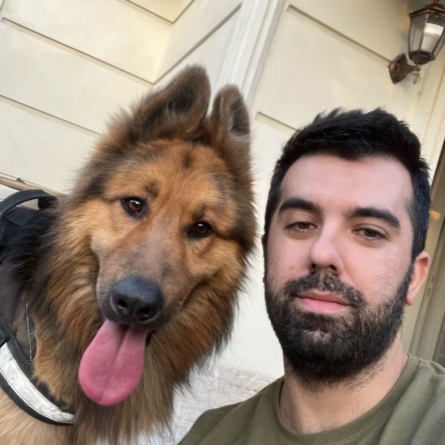 amir