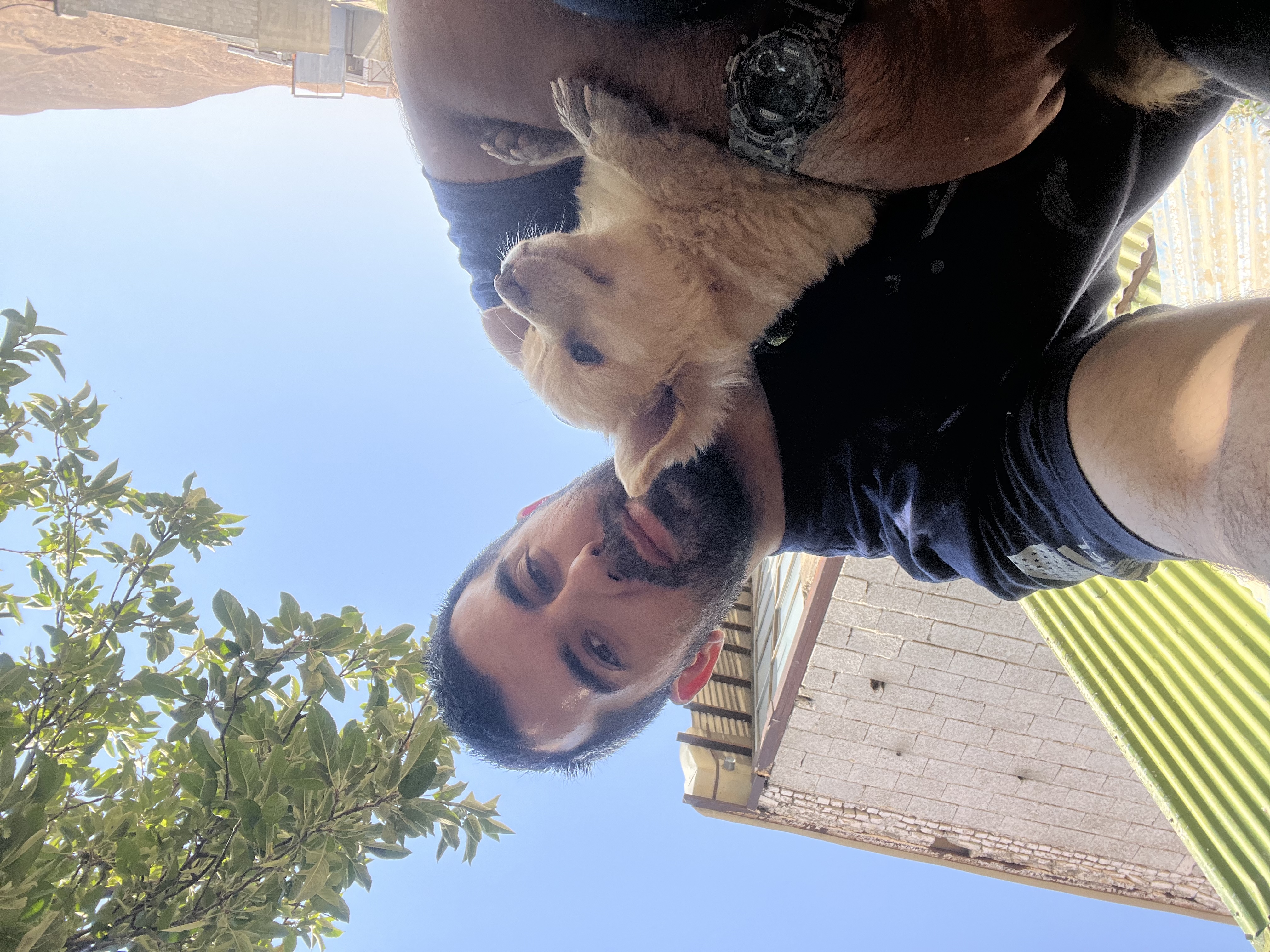 image-3