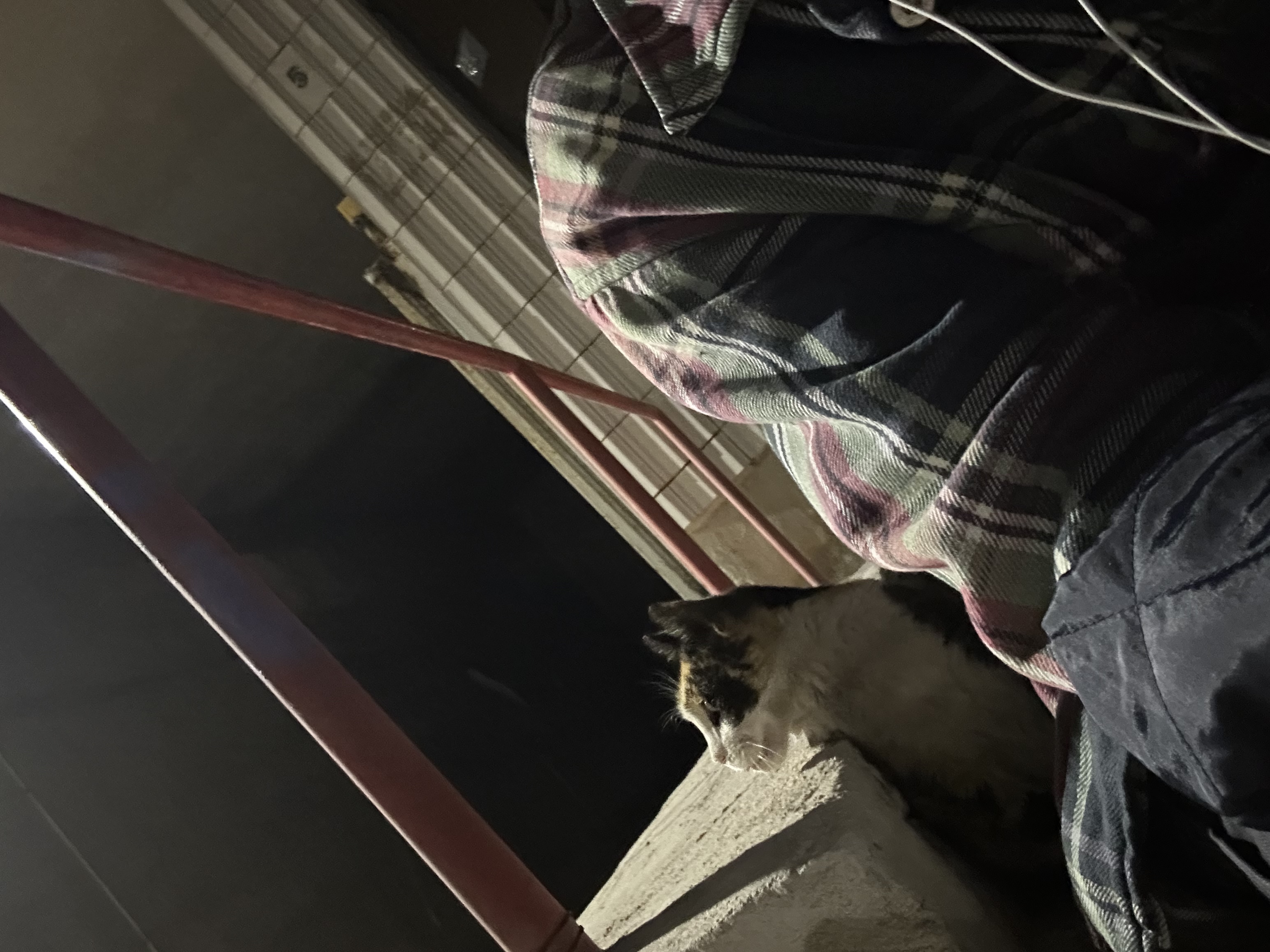 image-5