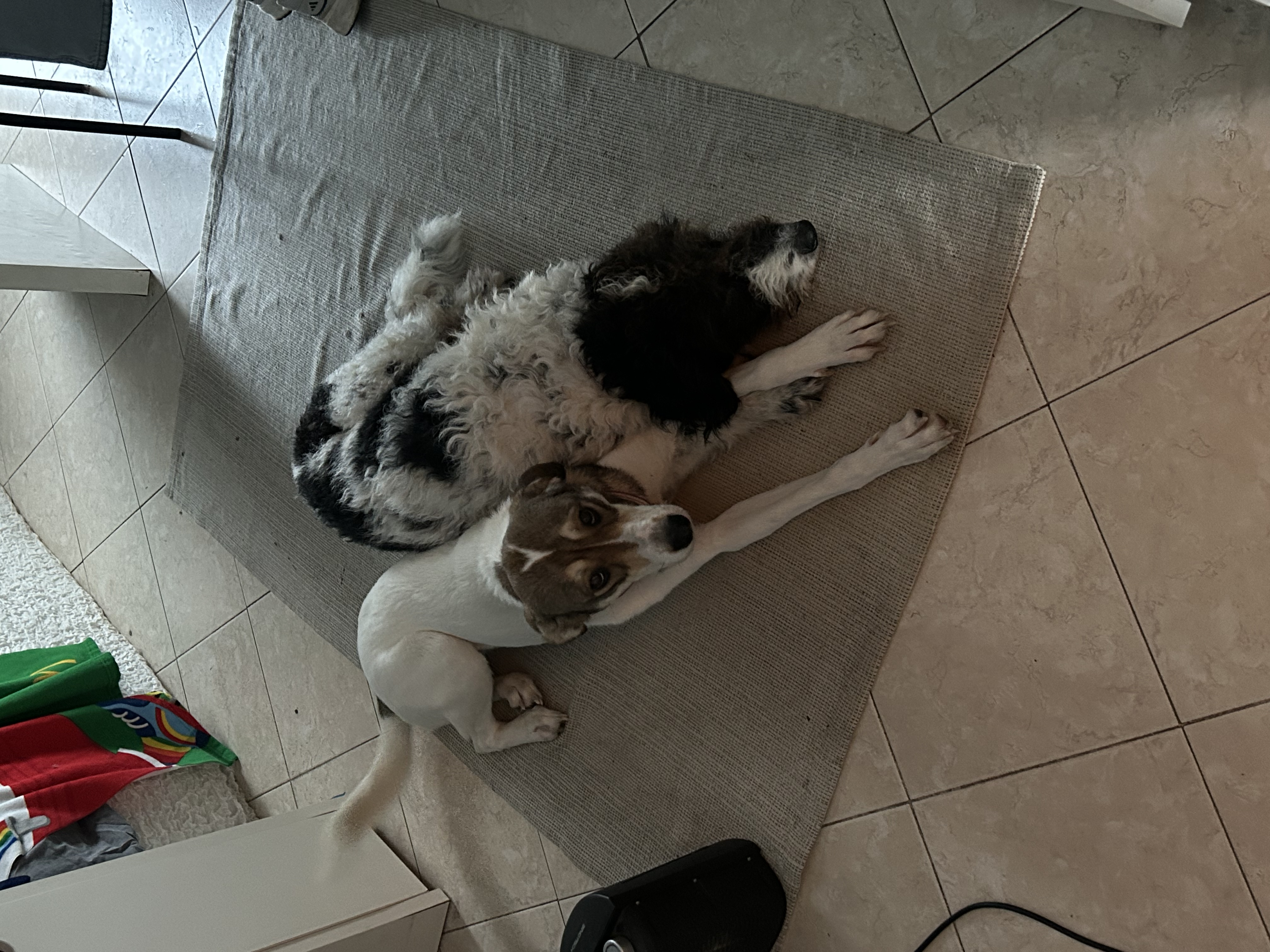 image-7