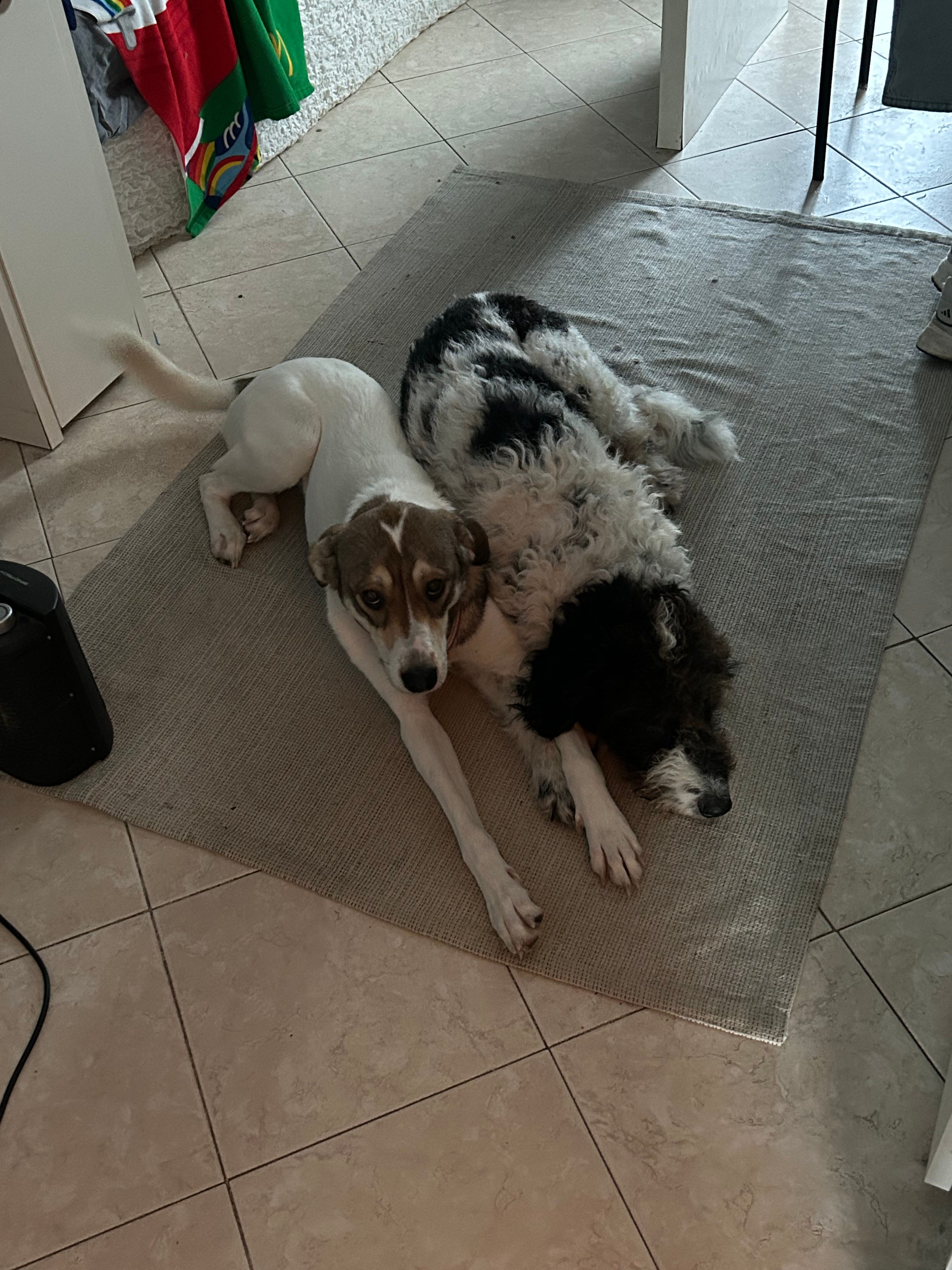 image-7