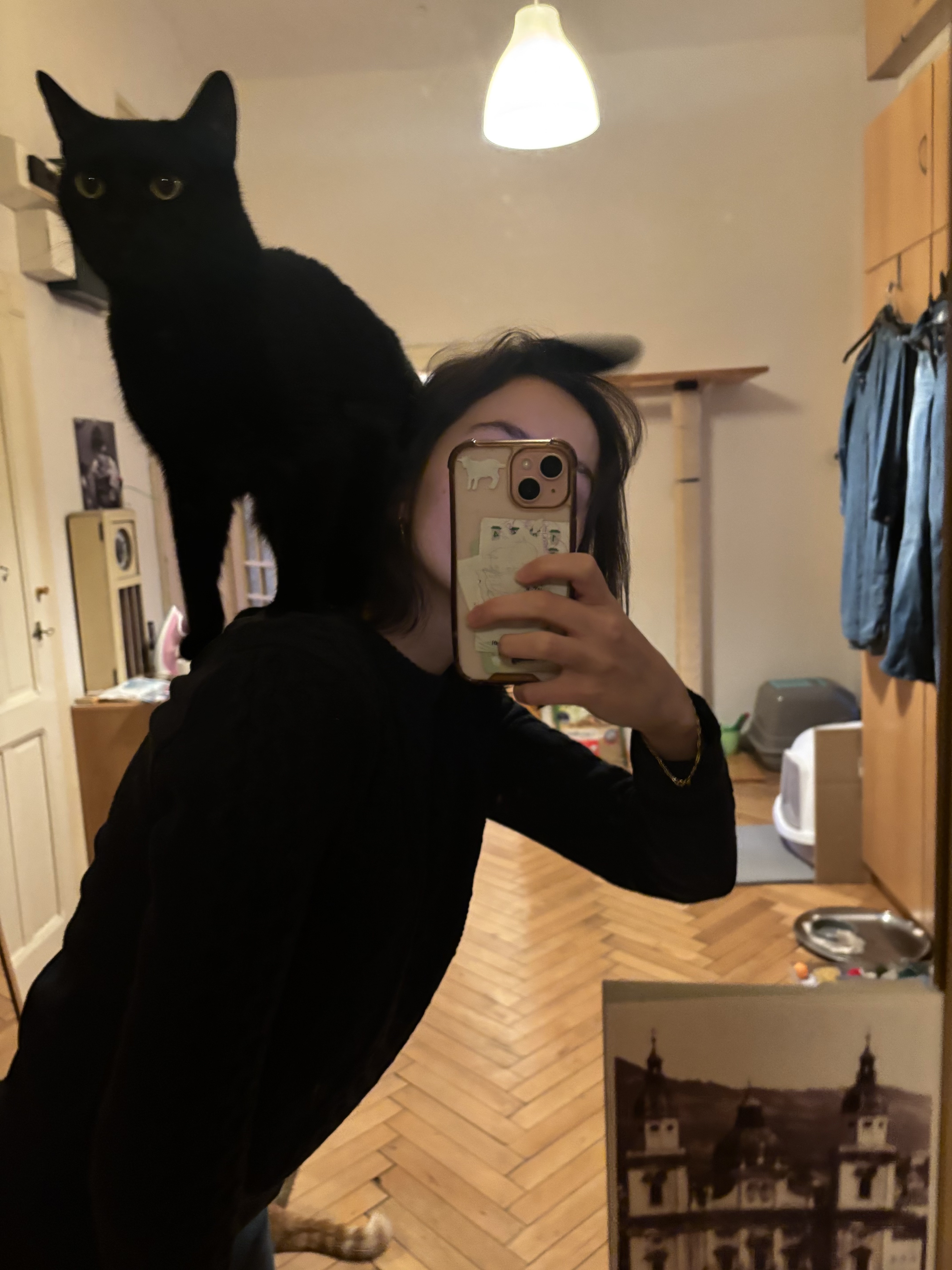 image-8