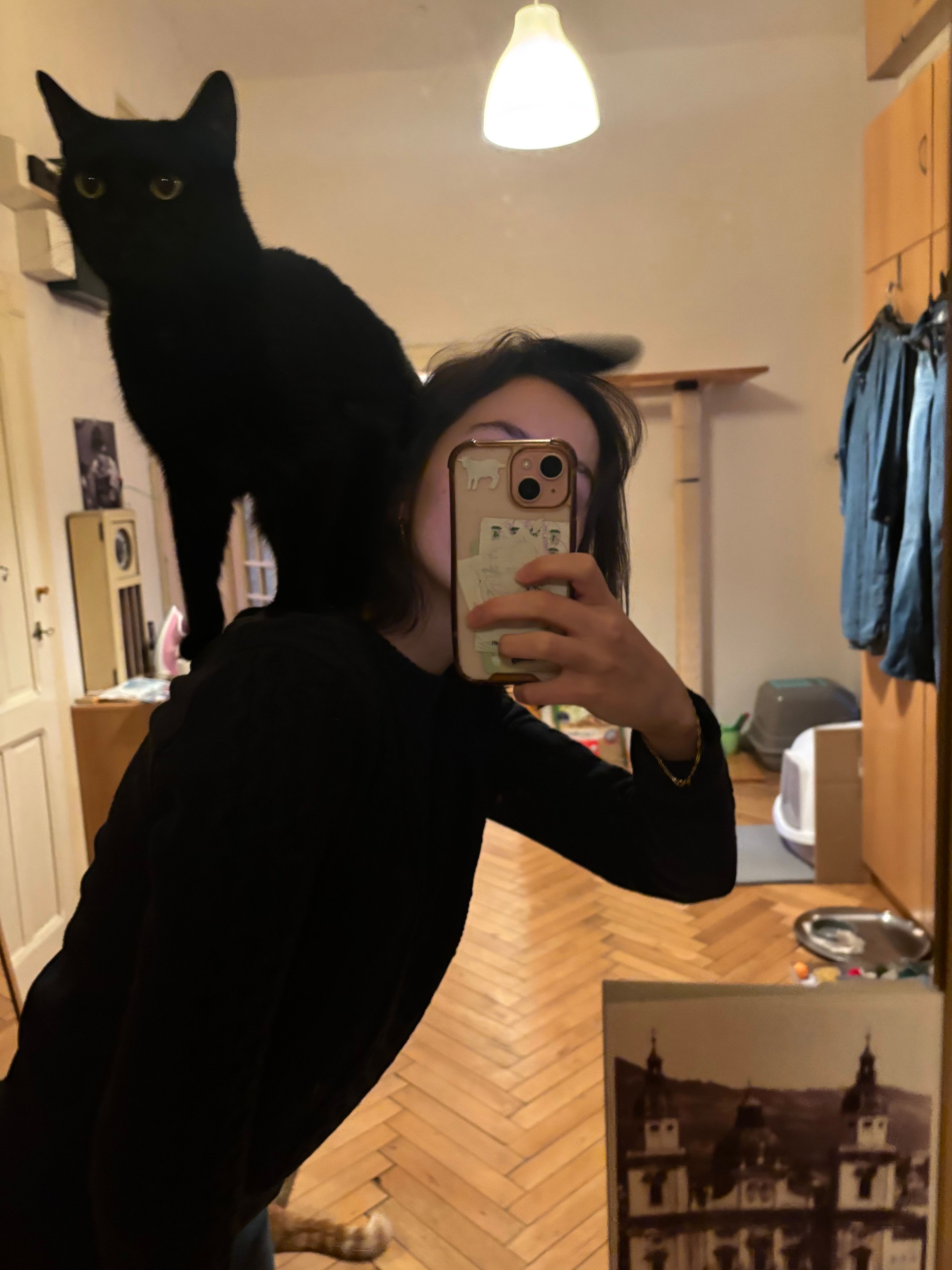 image-8