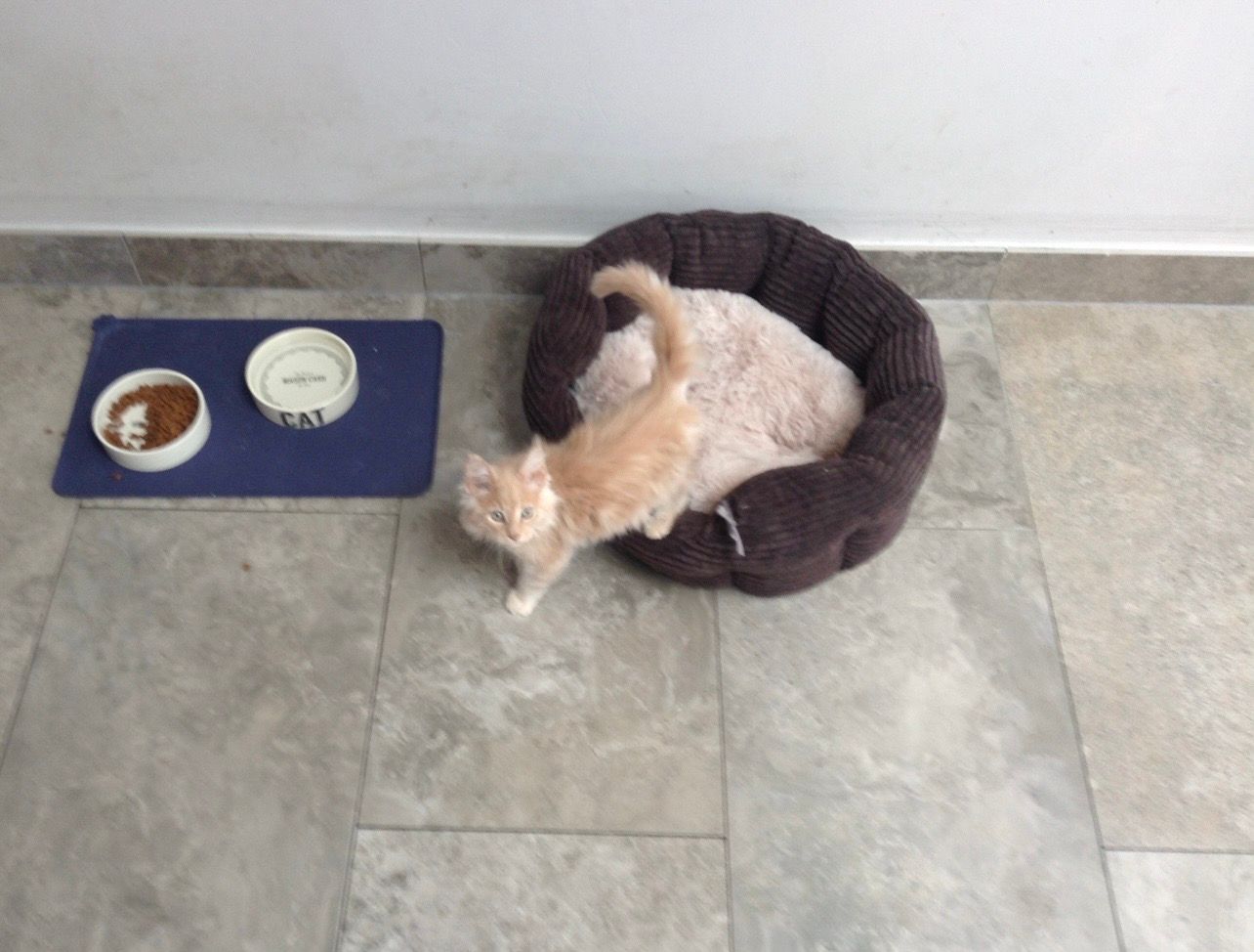 image-7