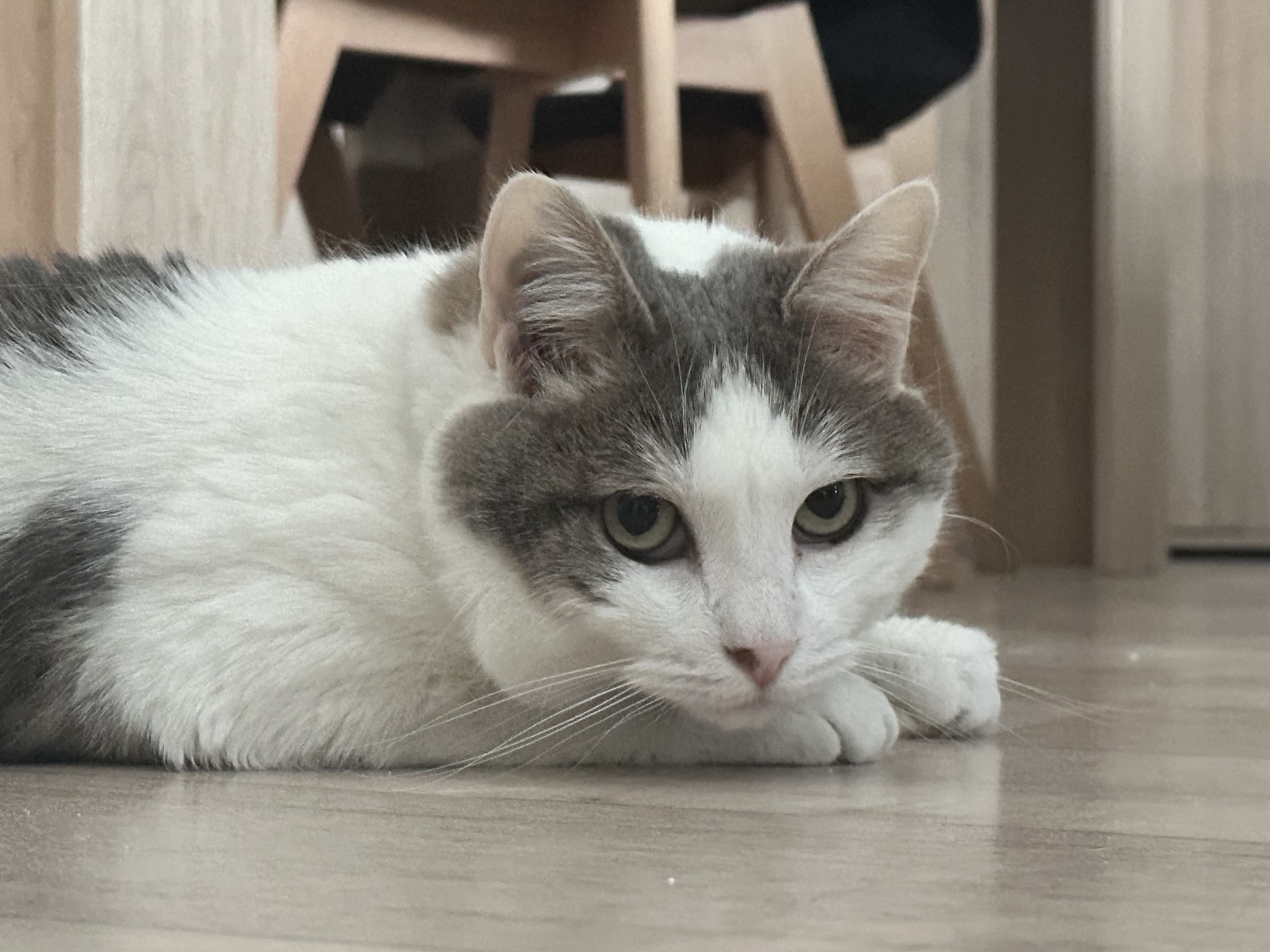 image-14