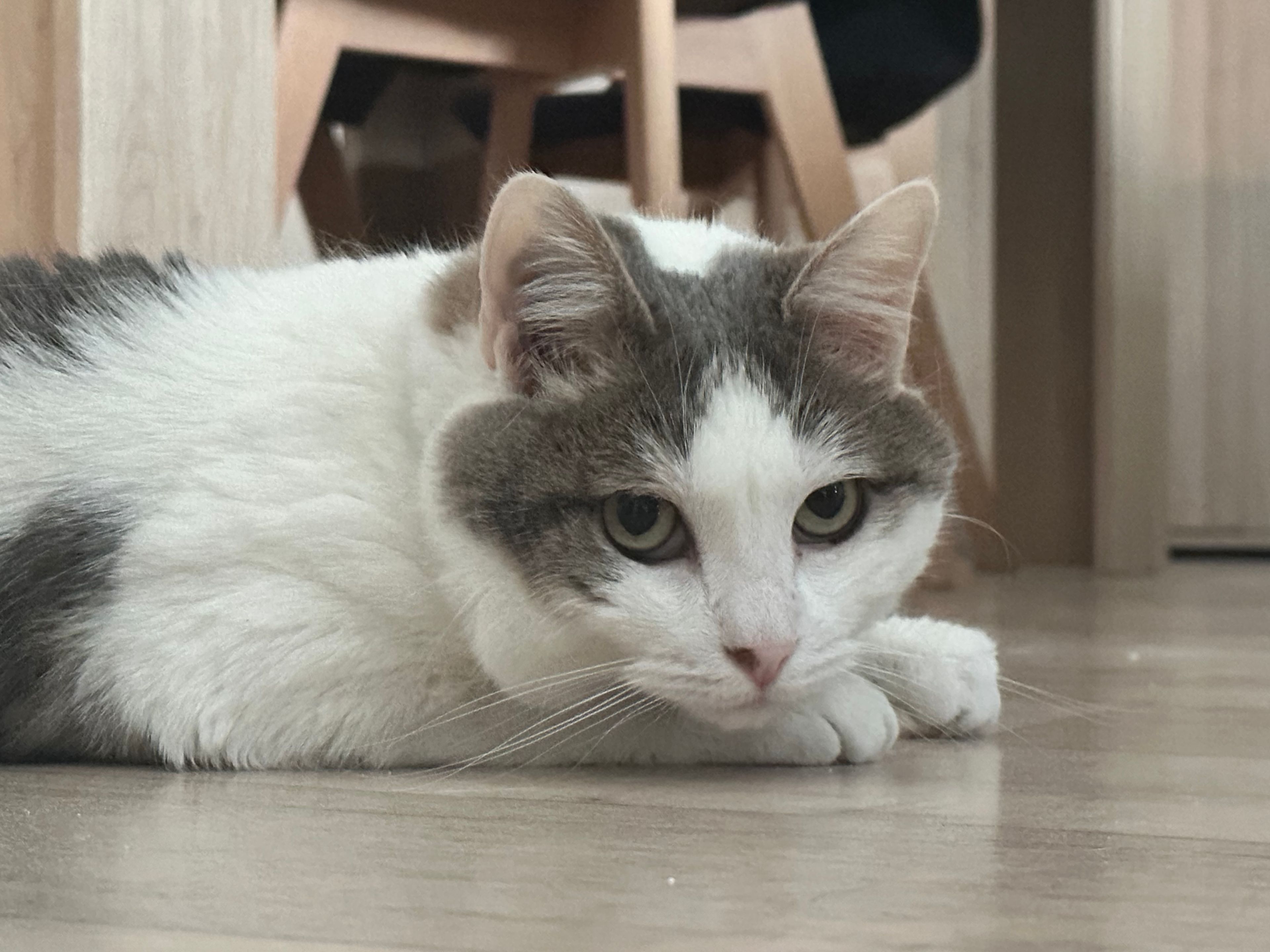 image-14