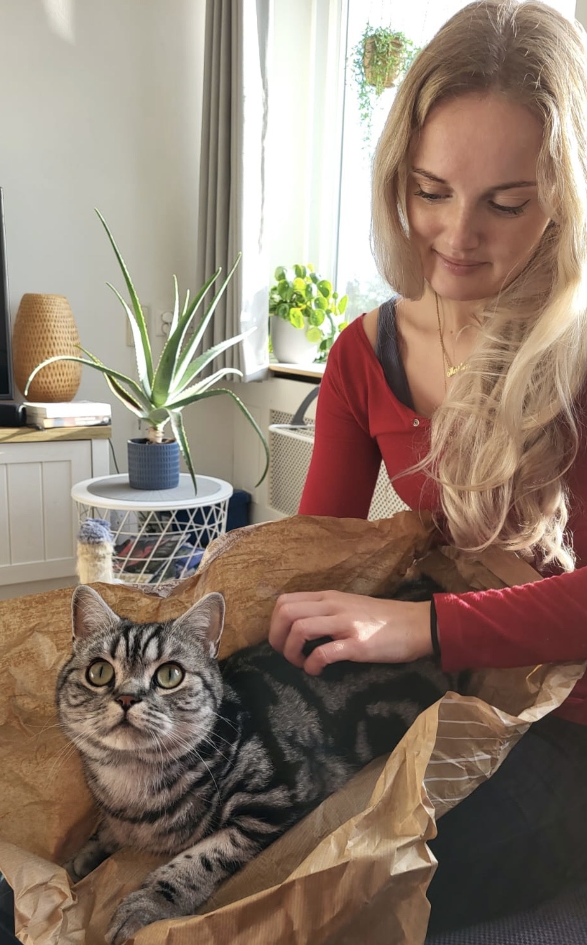 image-6