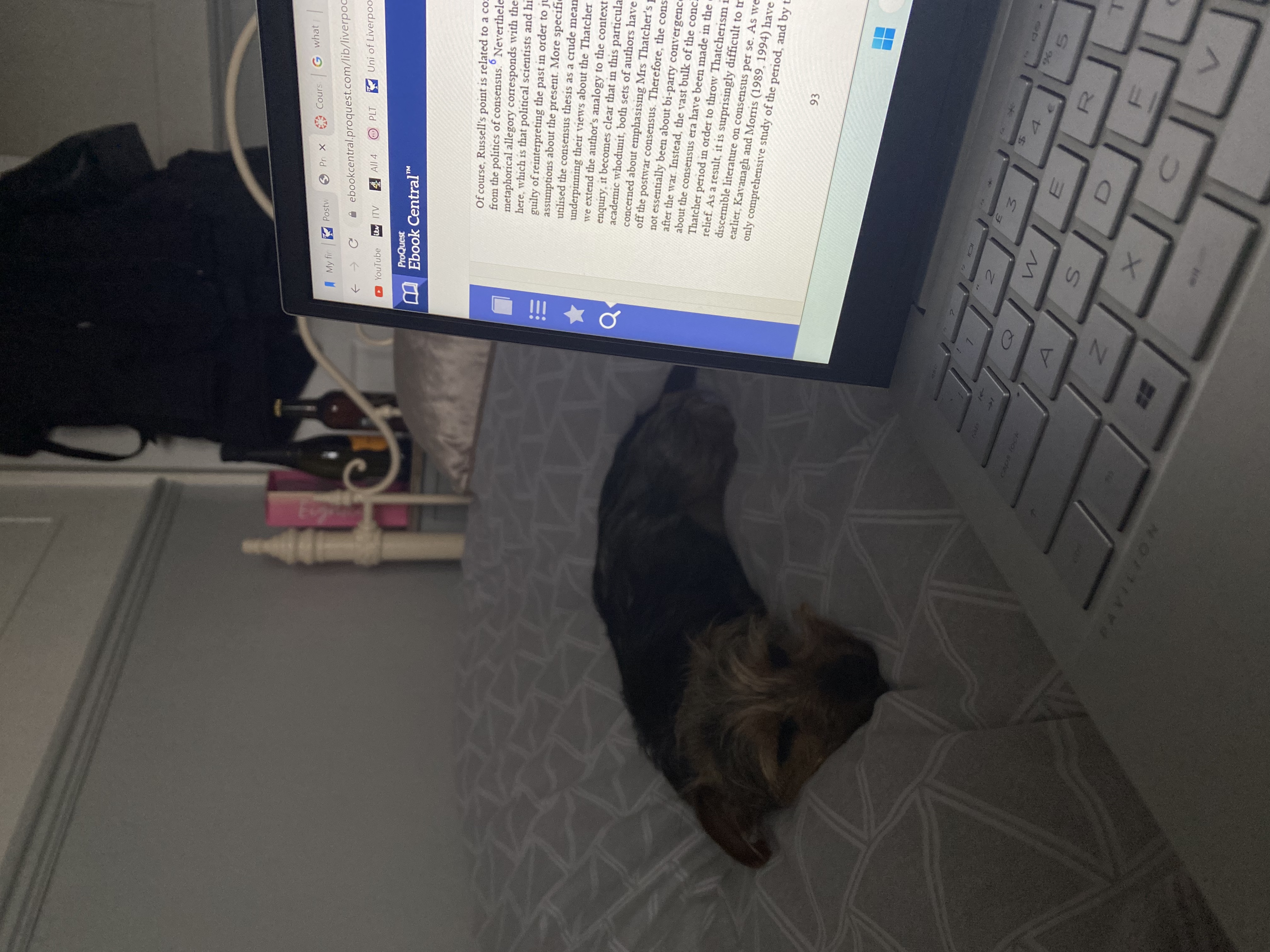 image-8