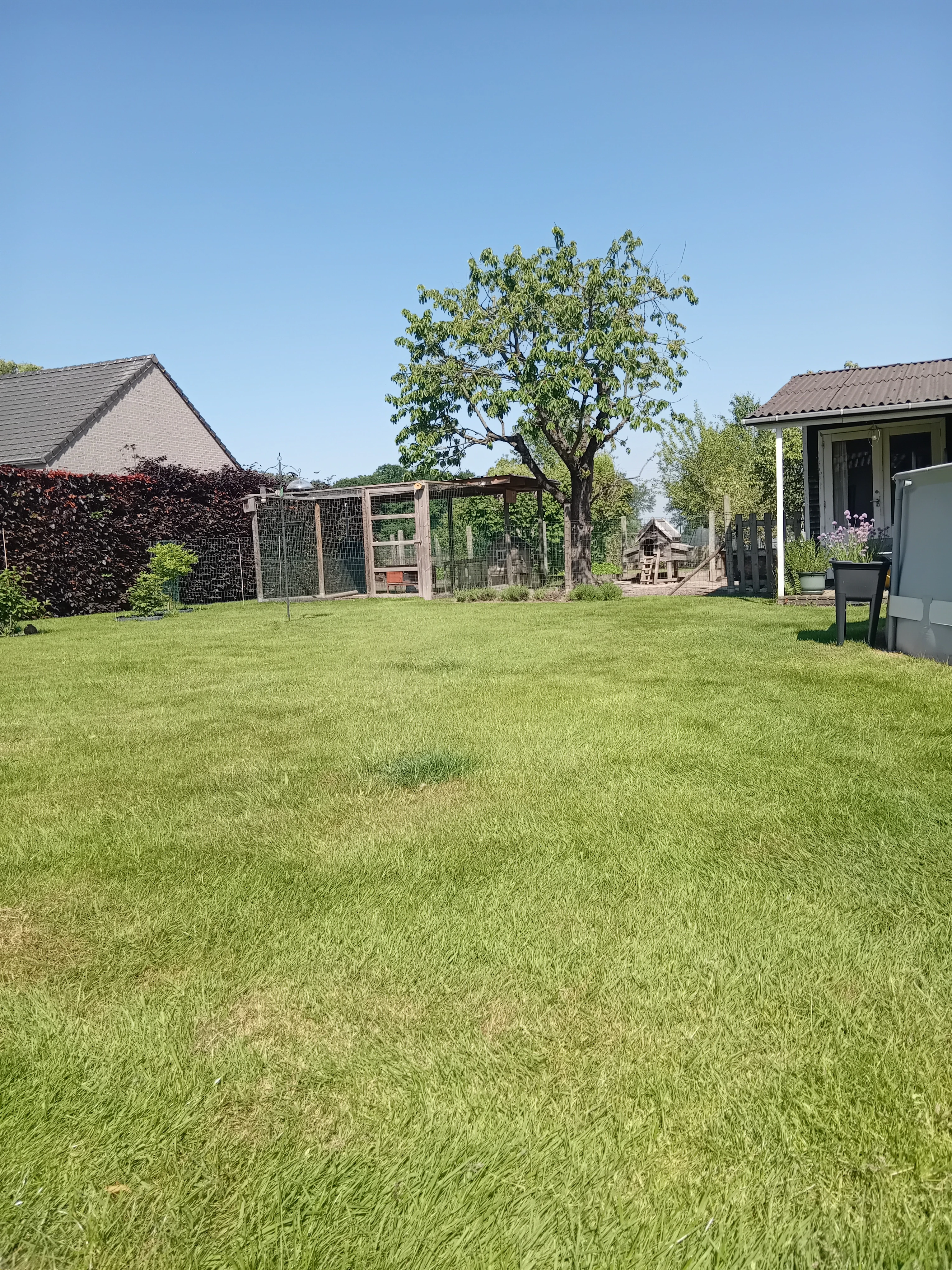 image-19