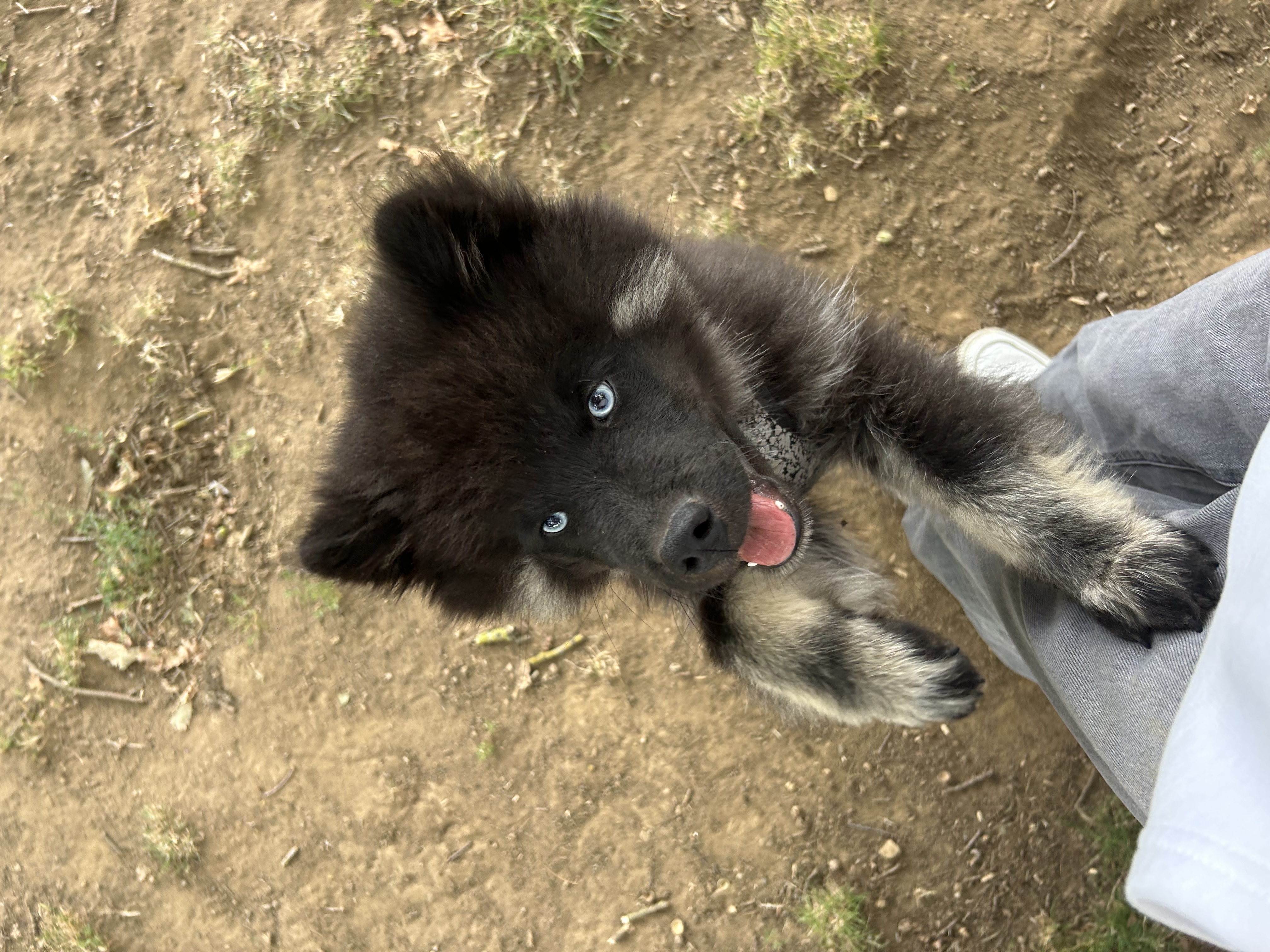 image-8