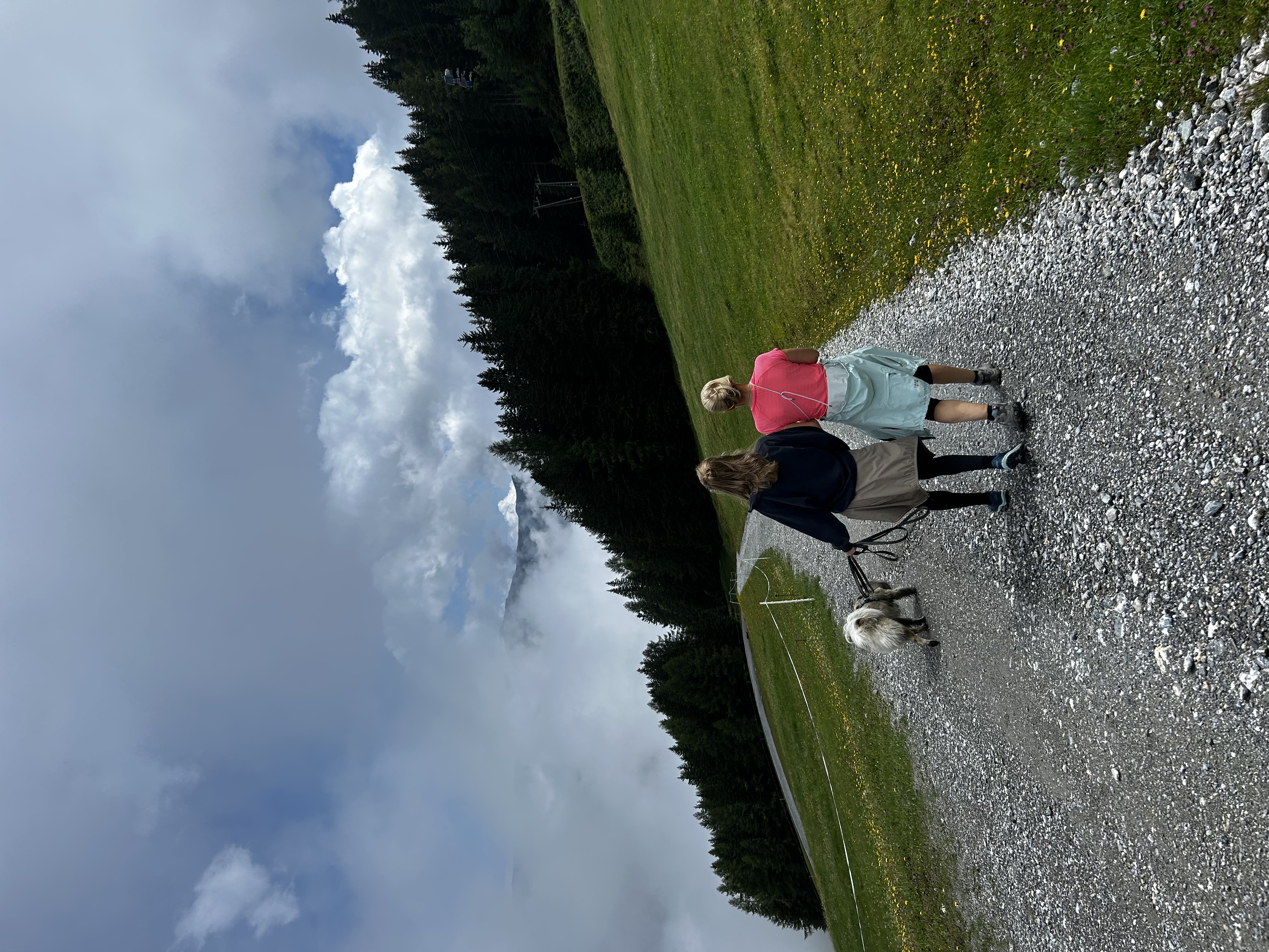 image-5