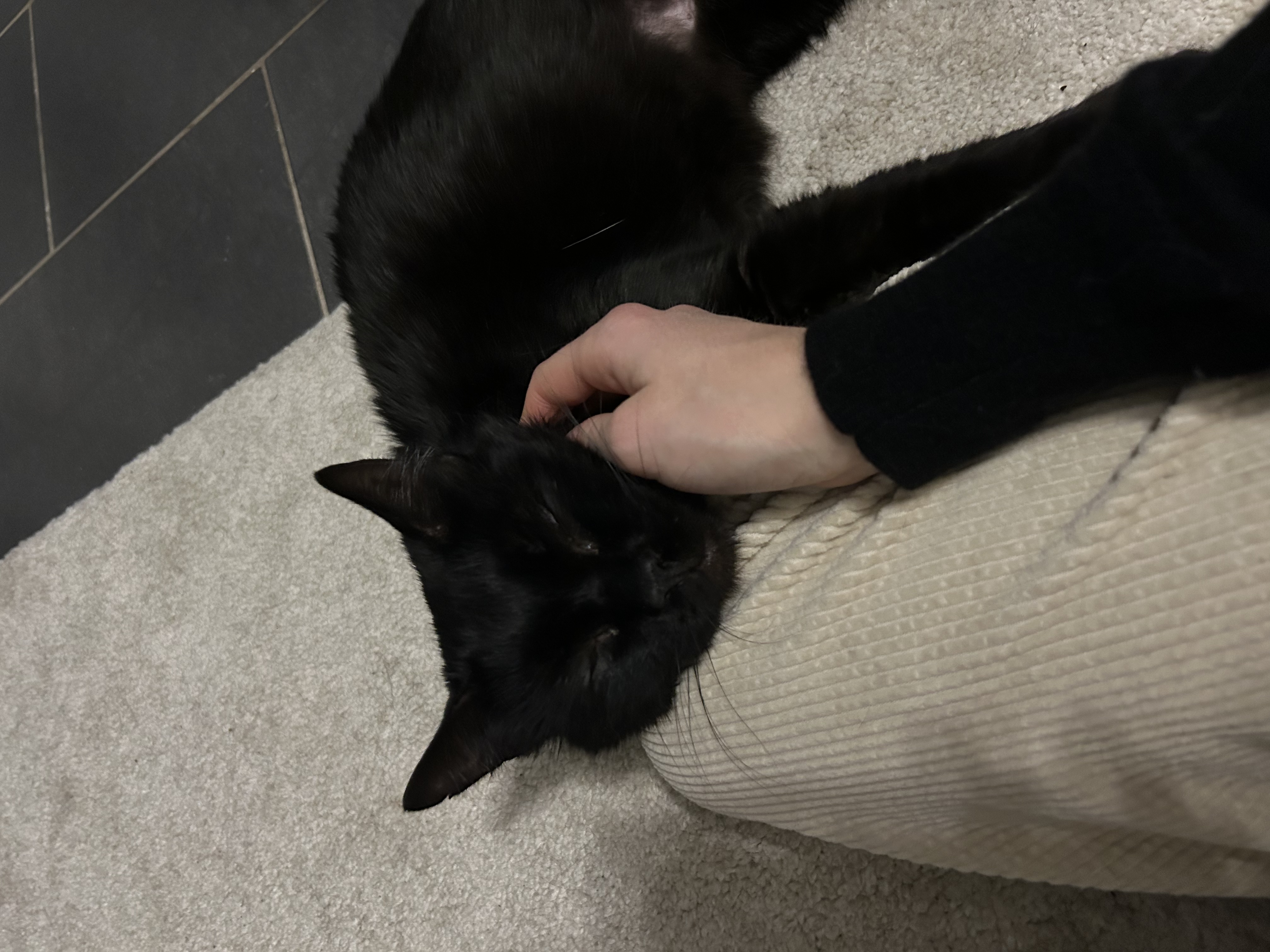 image-6