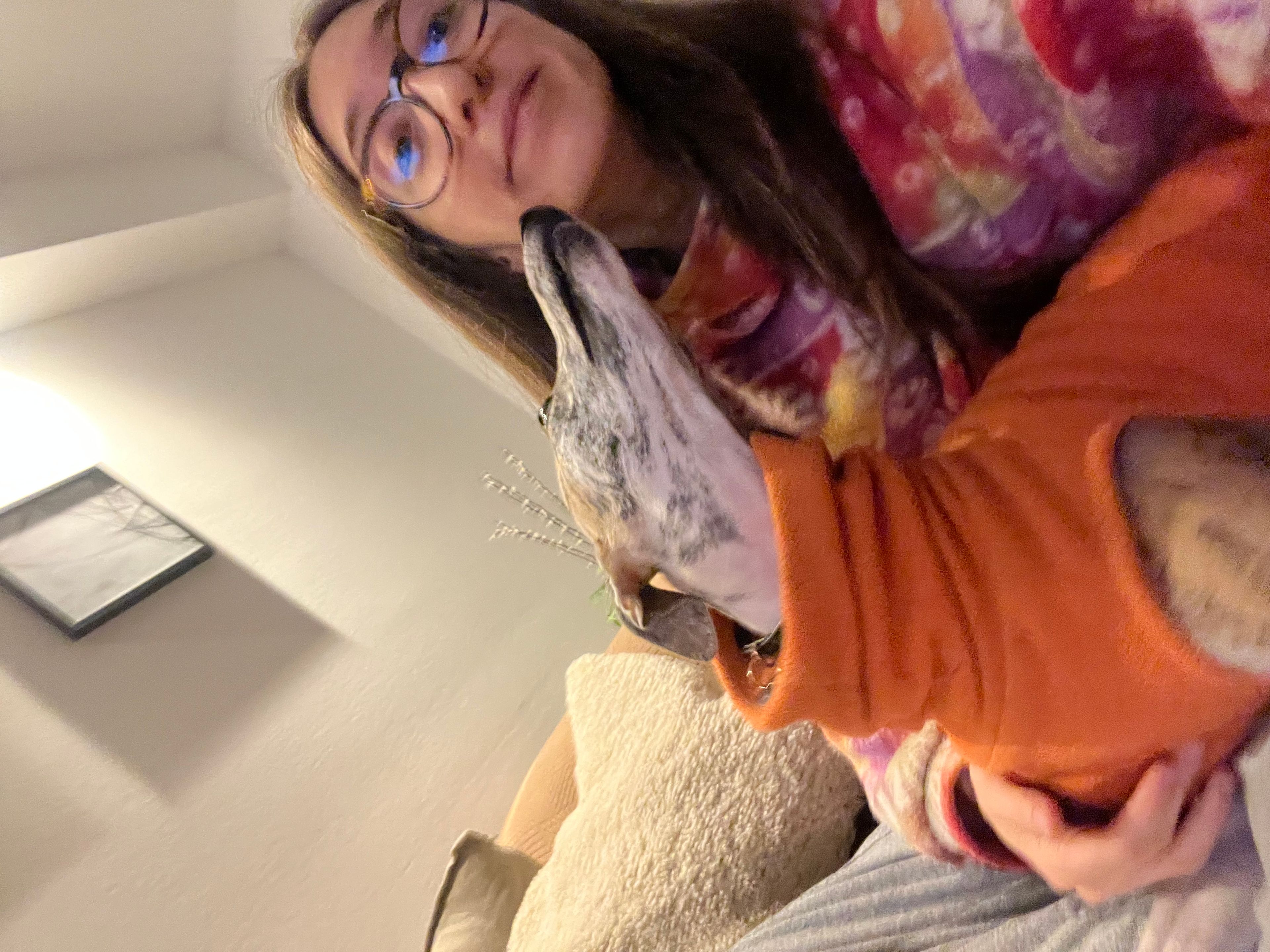 image-7
