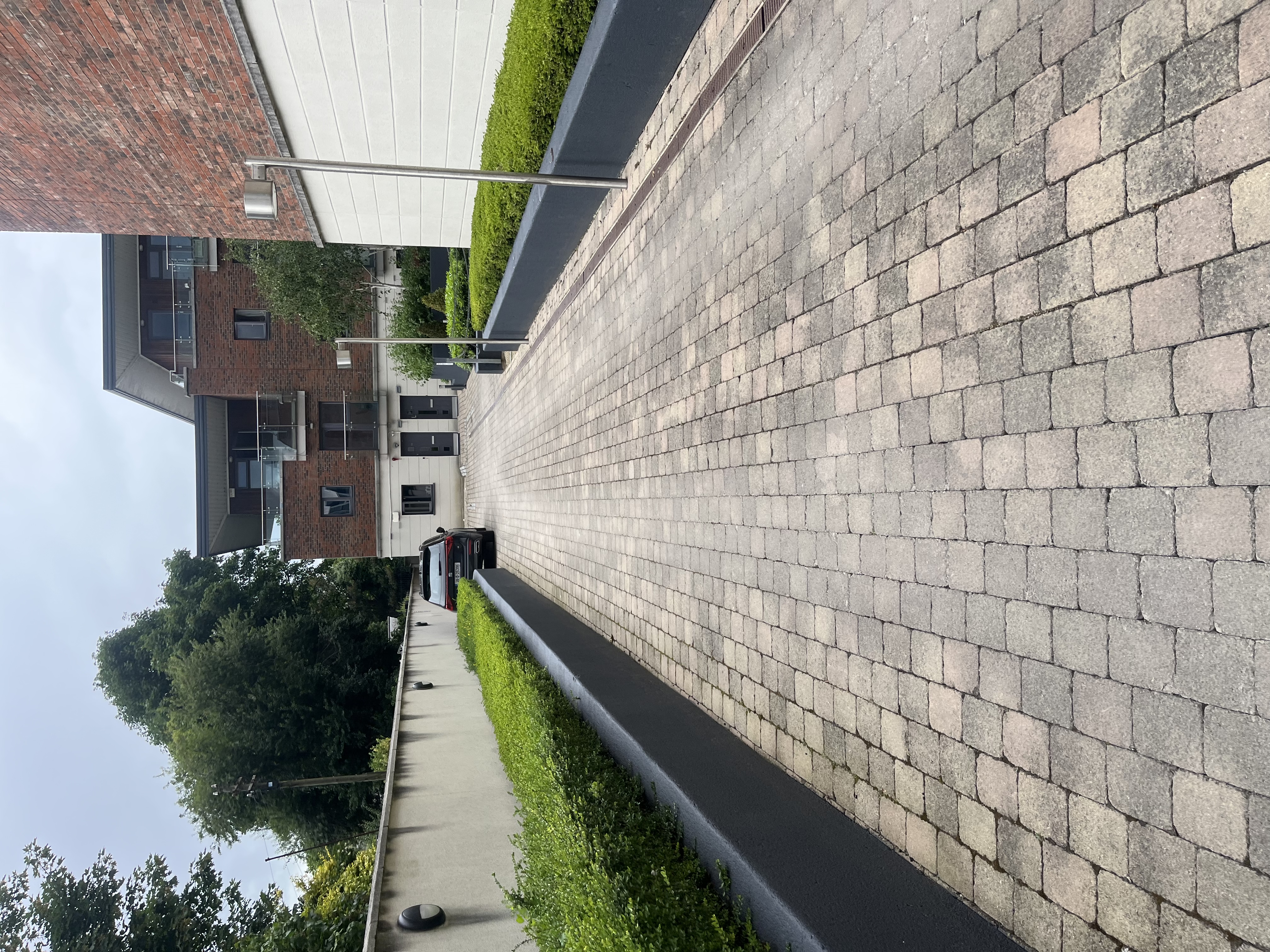 image-9