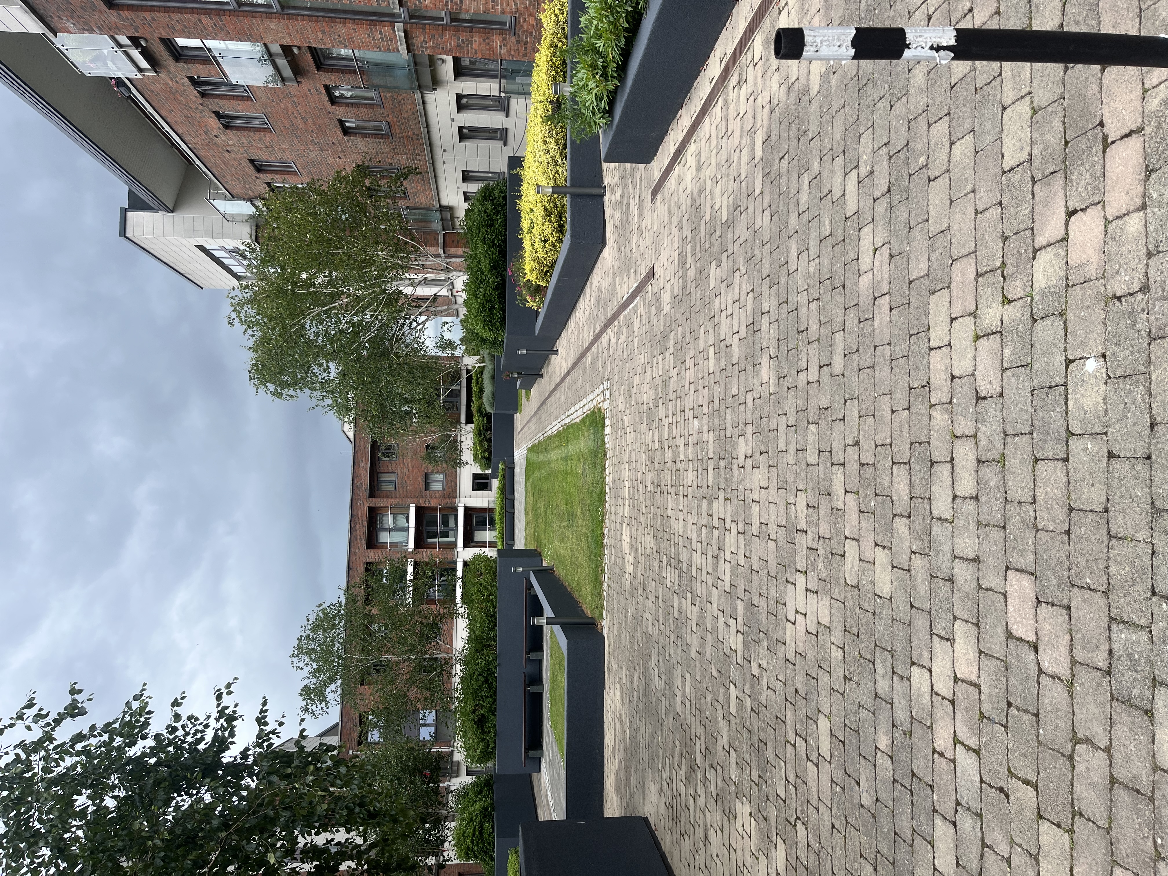 image-8