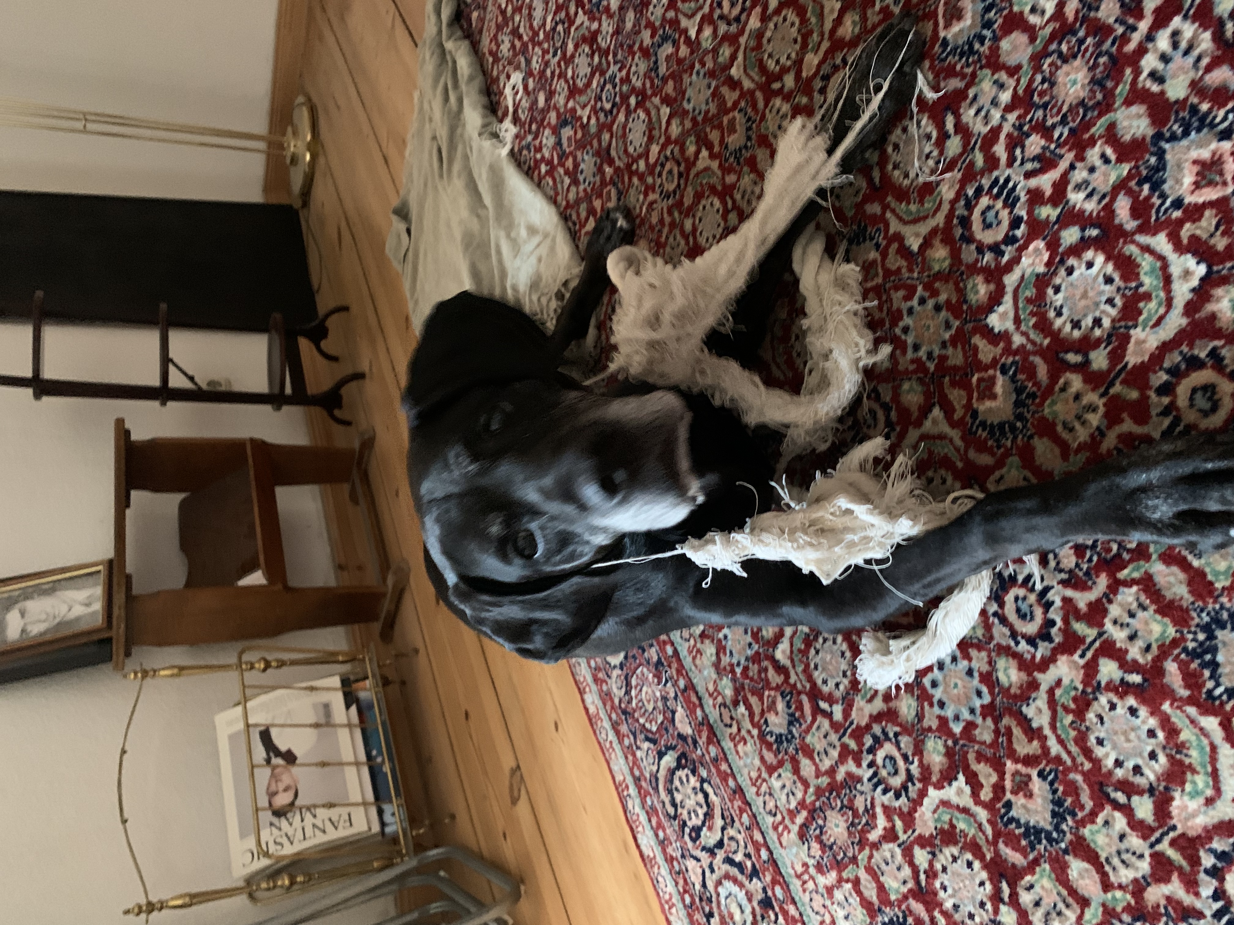 image-12