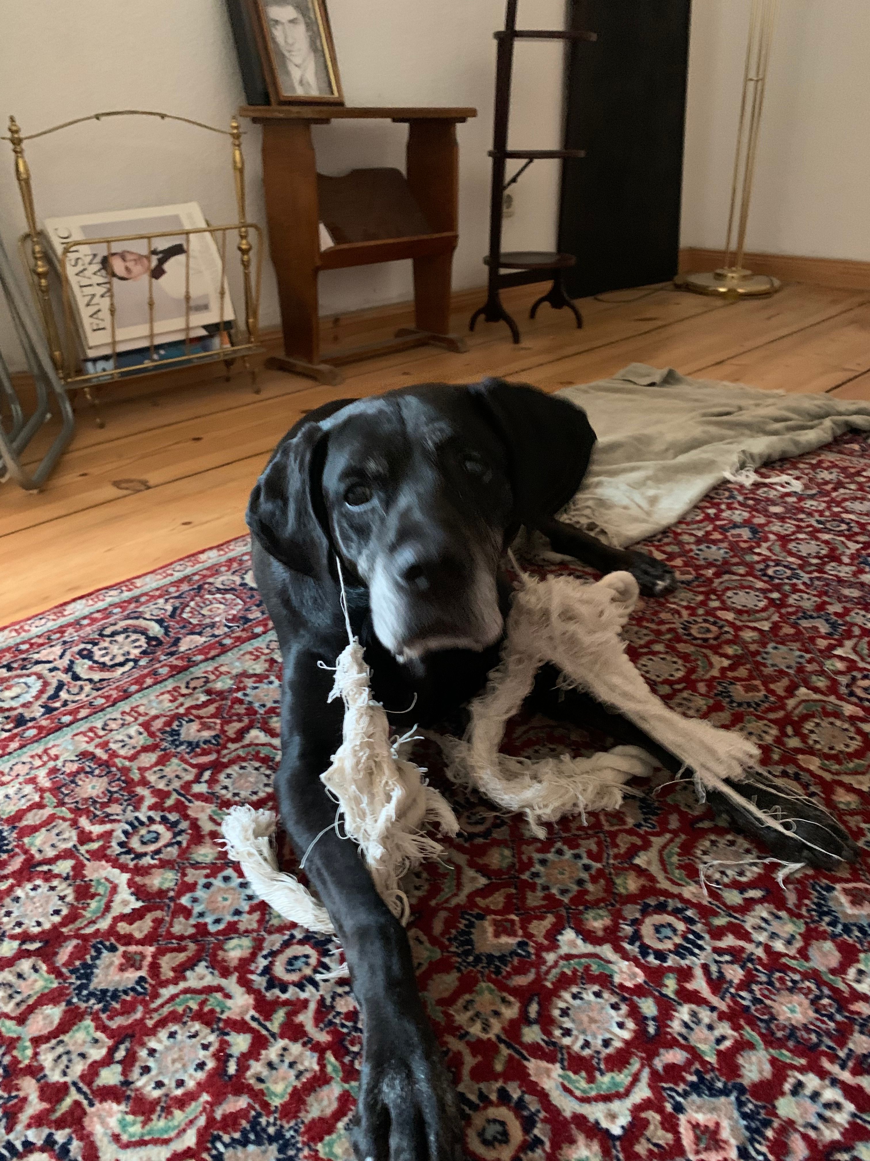 image-12