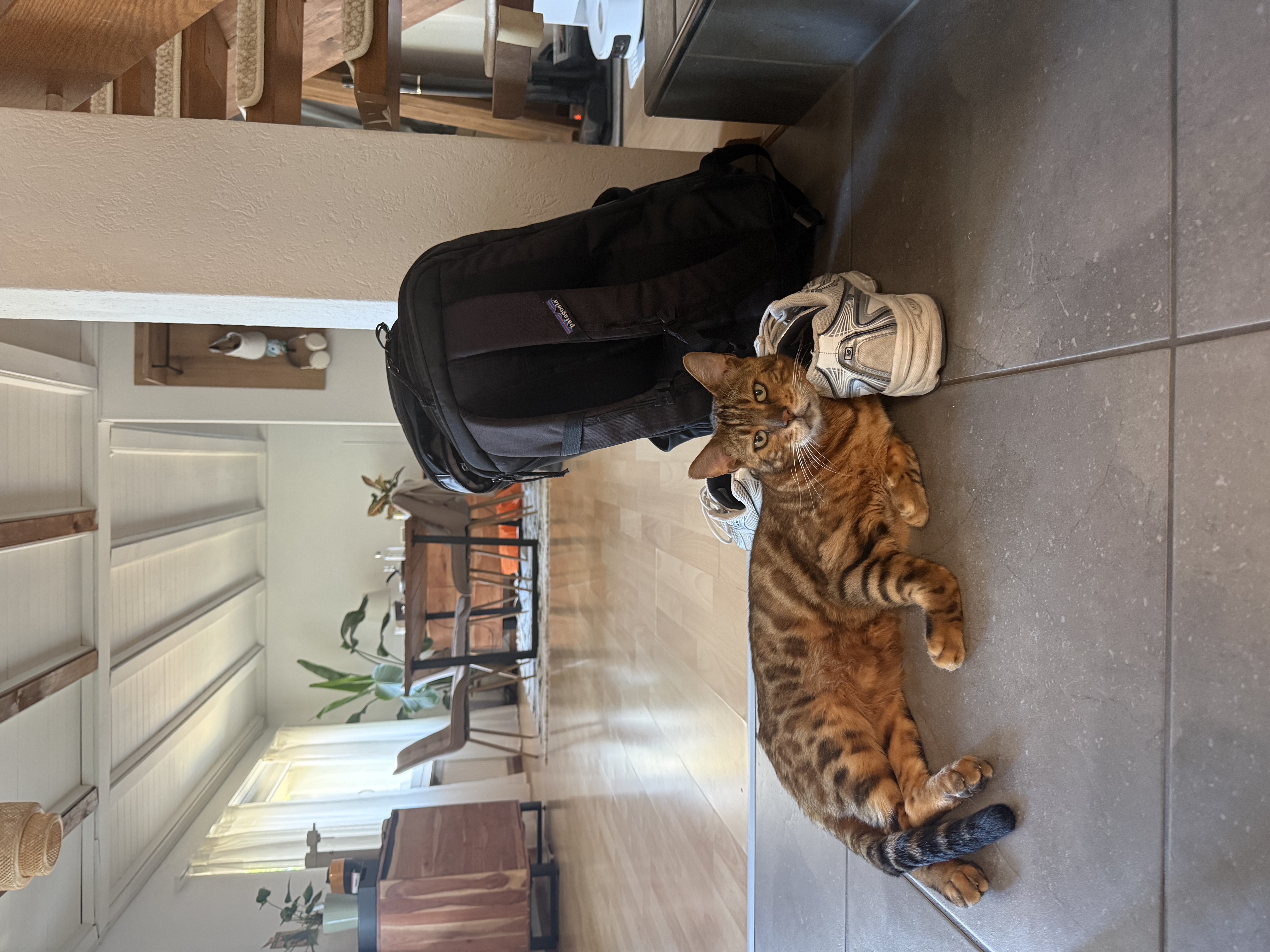 image-6