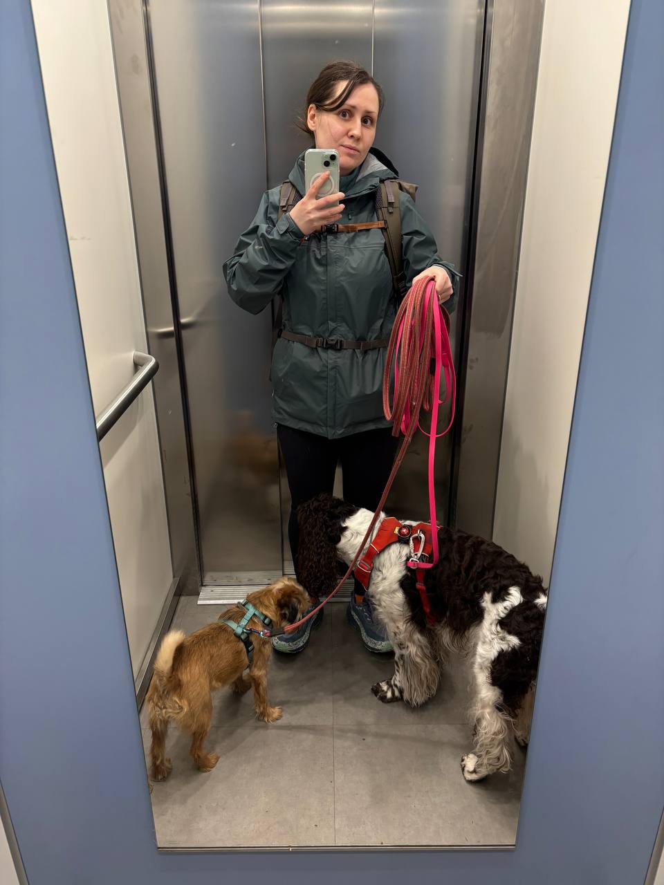 image-10