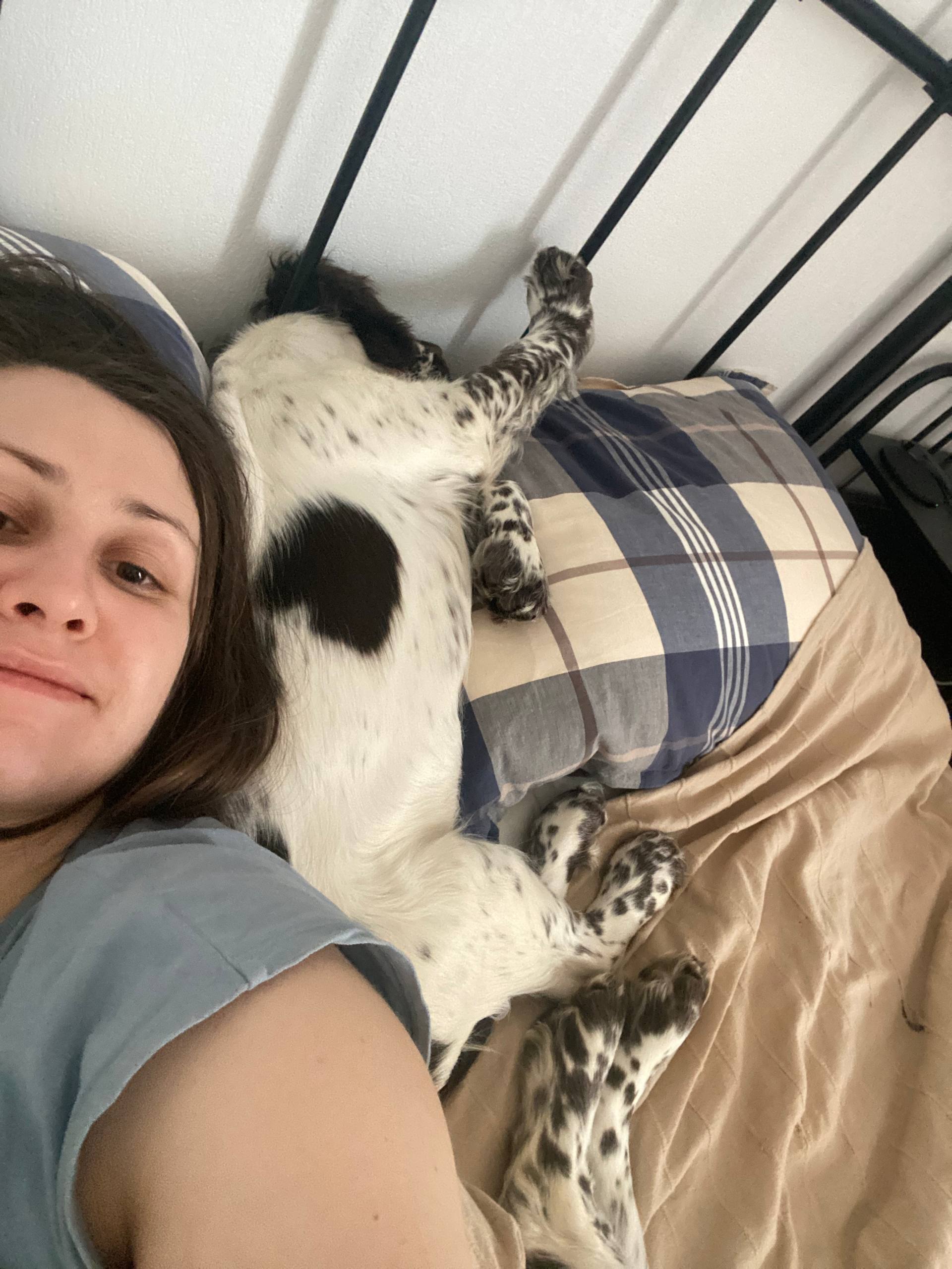 image-7